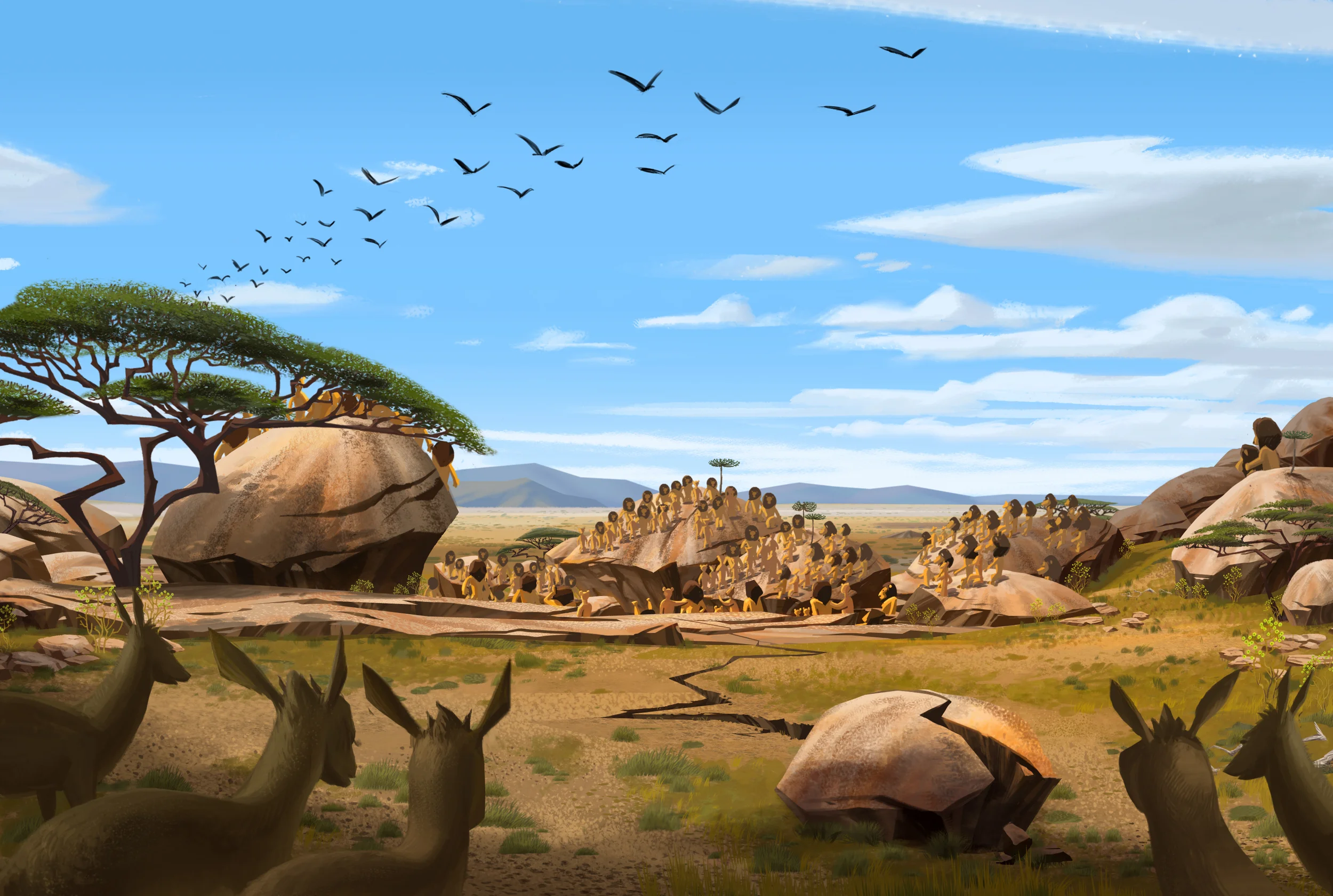 sq1425_arena_ext_v02_flat.jpg