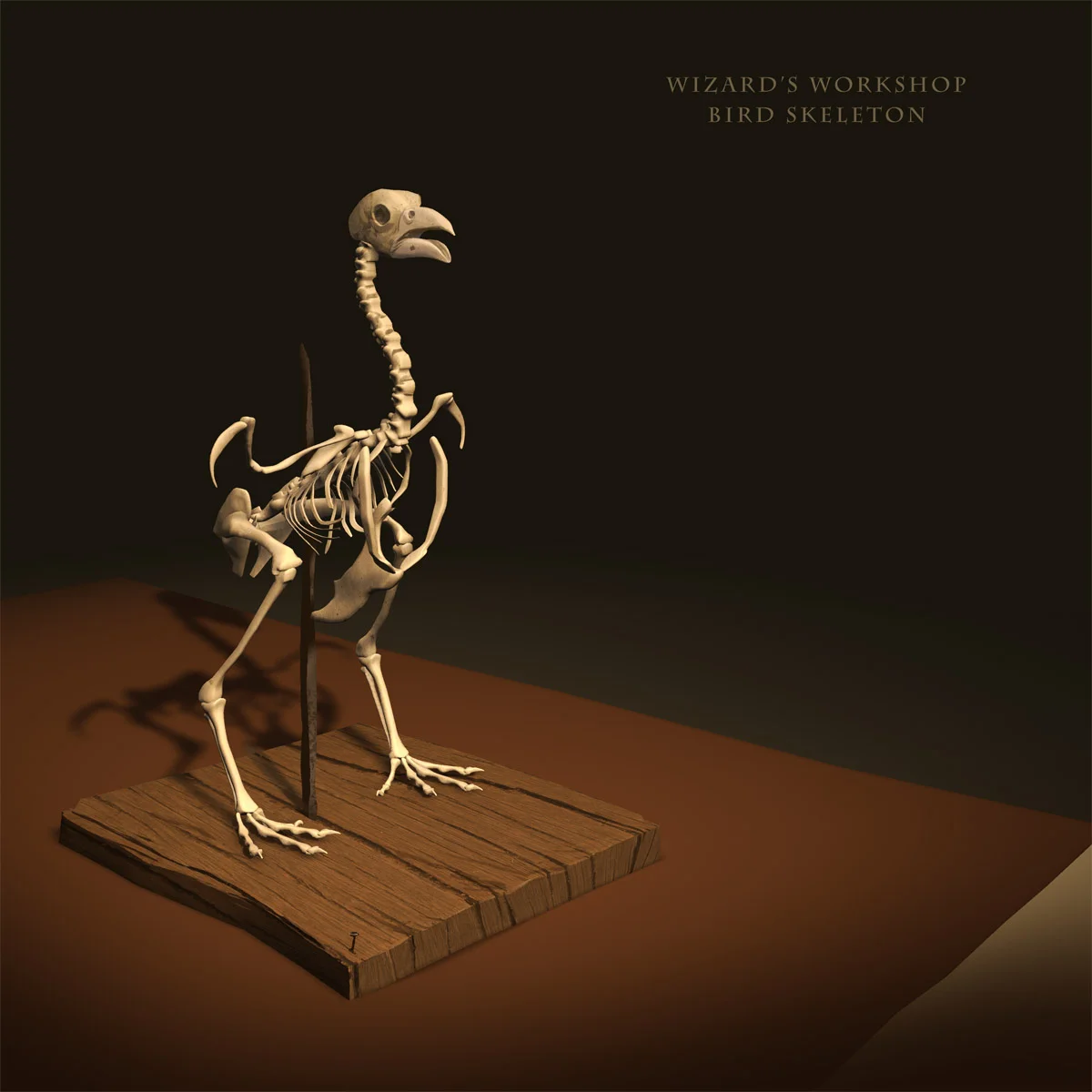 bird_skeleton_1.jpg