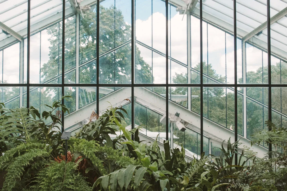 PRINCESS OF WALES CONSERVATORY