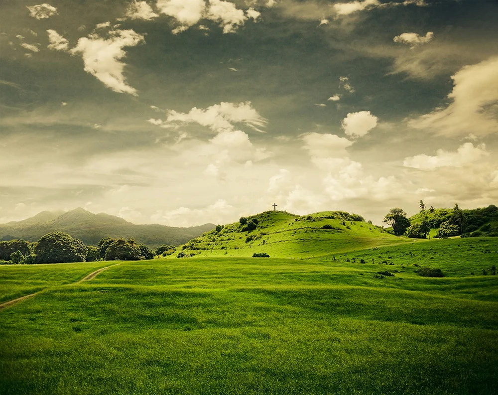 MS Landscapes104.jpg