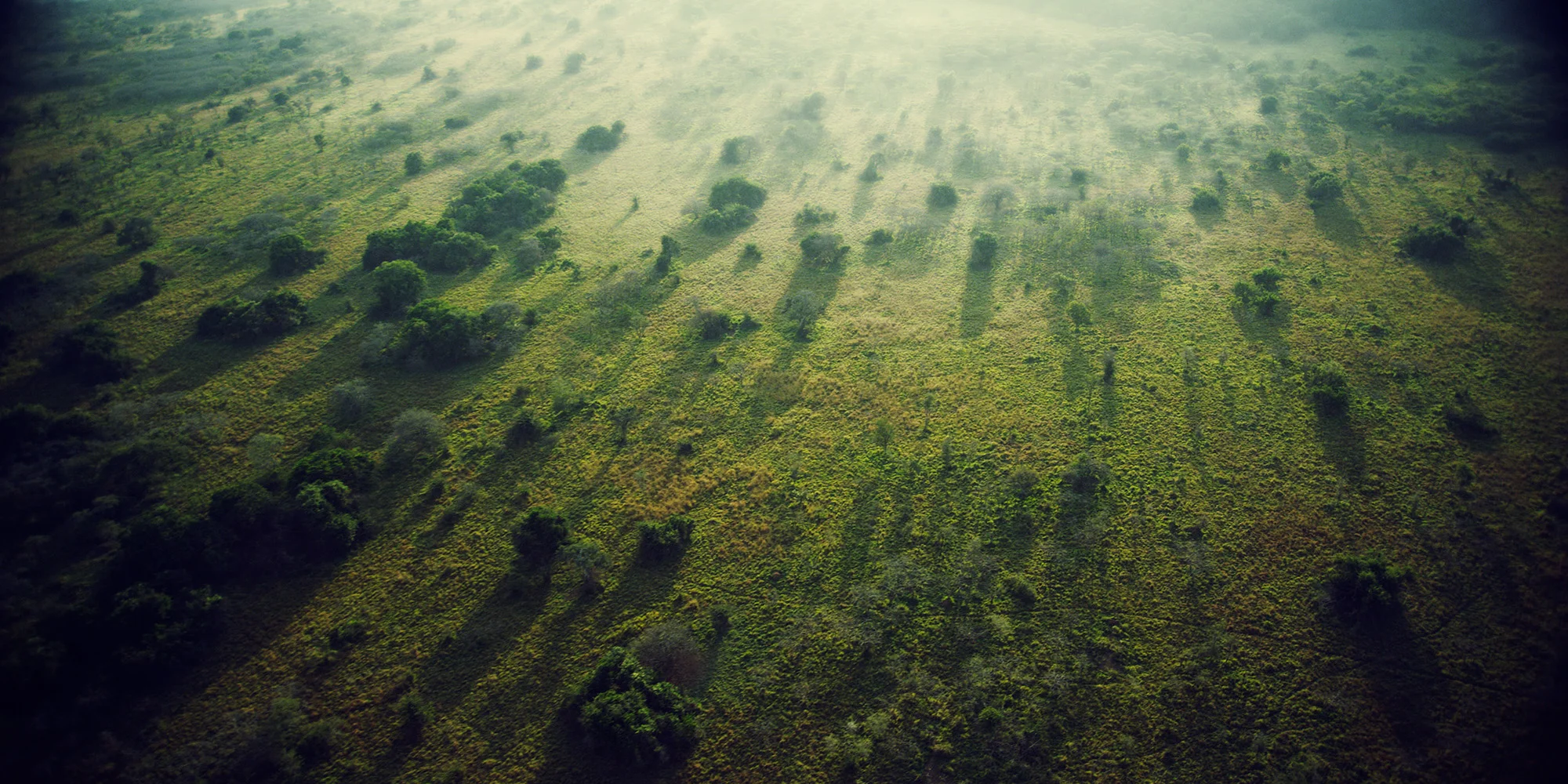 MS Landscapes125.jpg