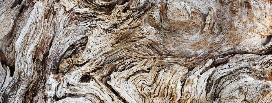 Combining the nature of opals and the nature of driftwood... 