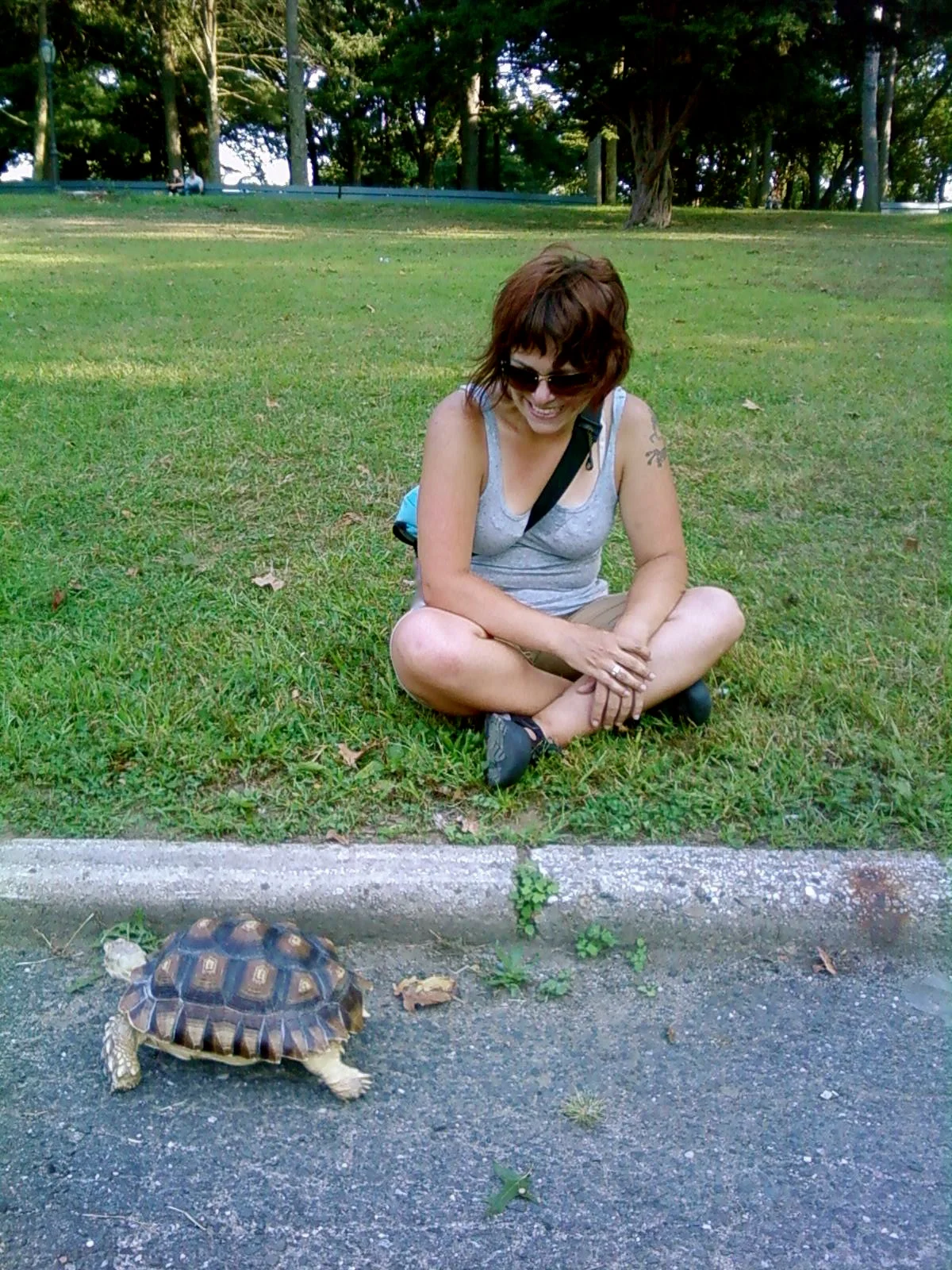 awesome turtle pic.jpg