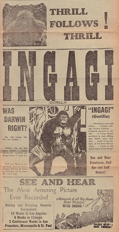 ingagi2.jpg