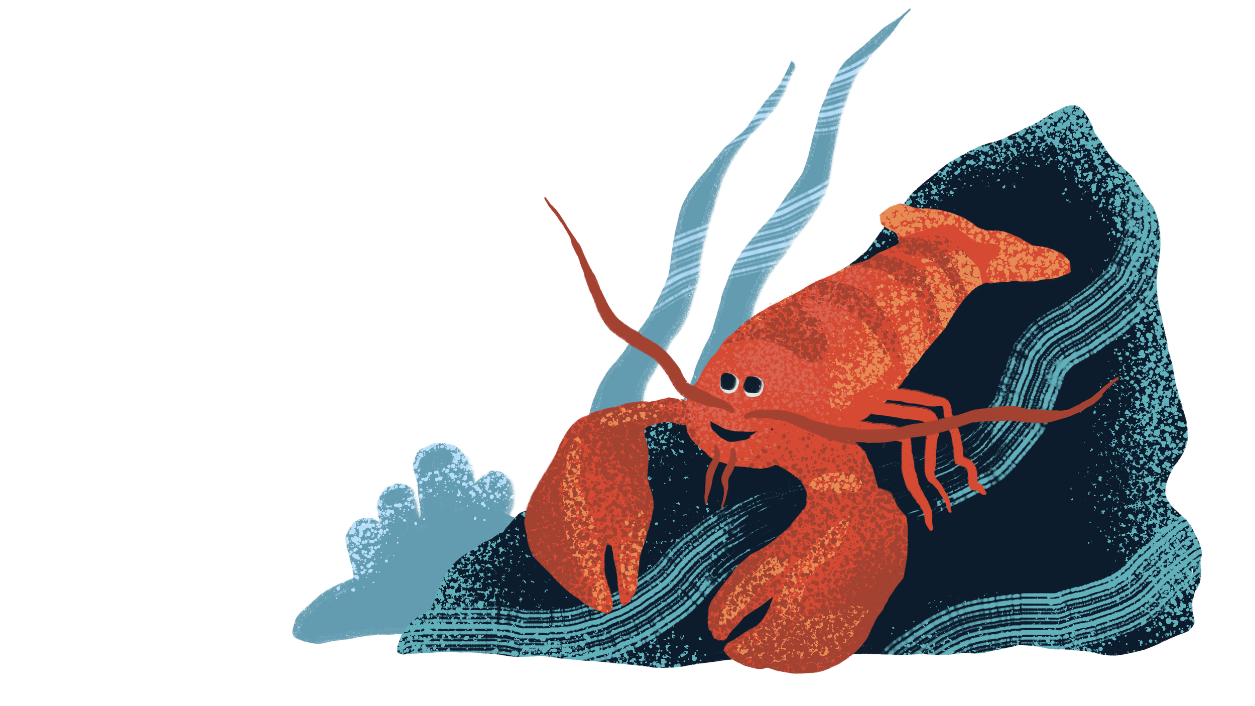 DD lobster.png