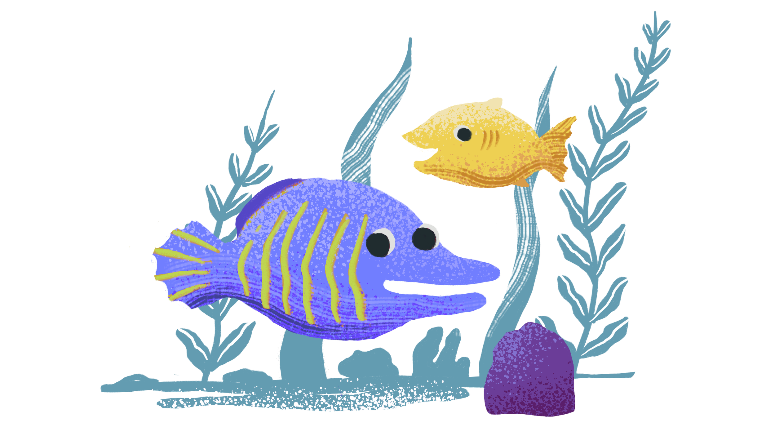 DD fish.png