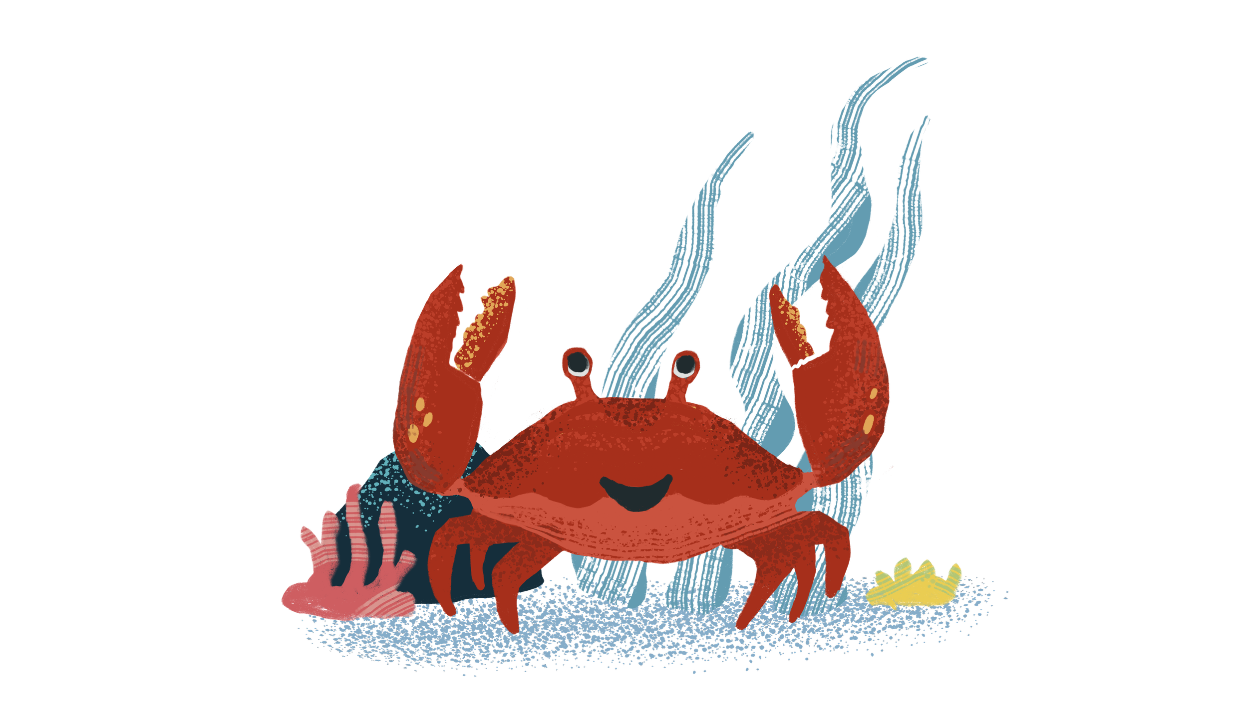 DD crab.png