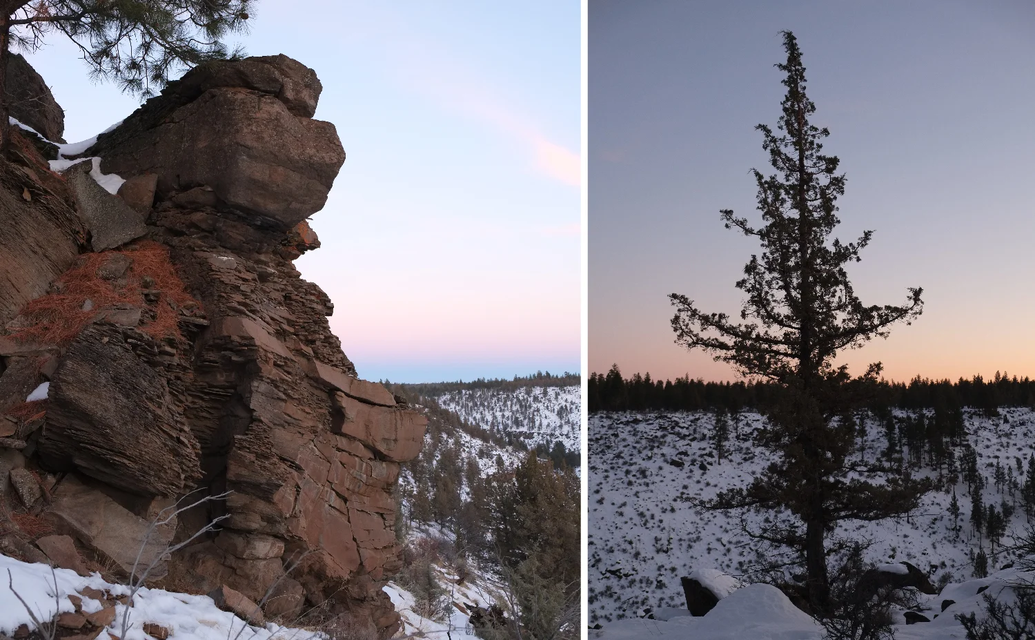 guggenheim architecture-01.jpg