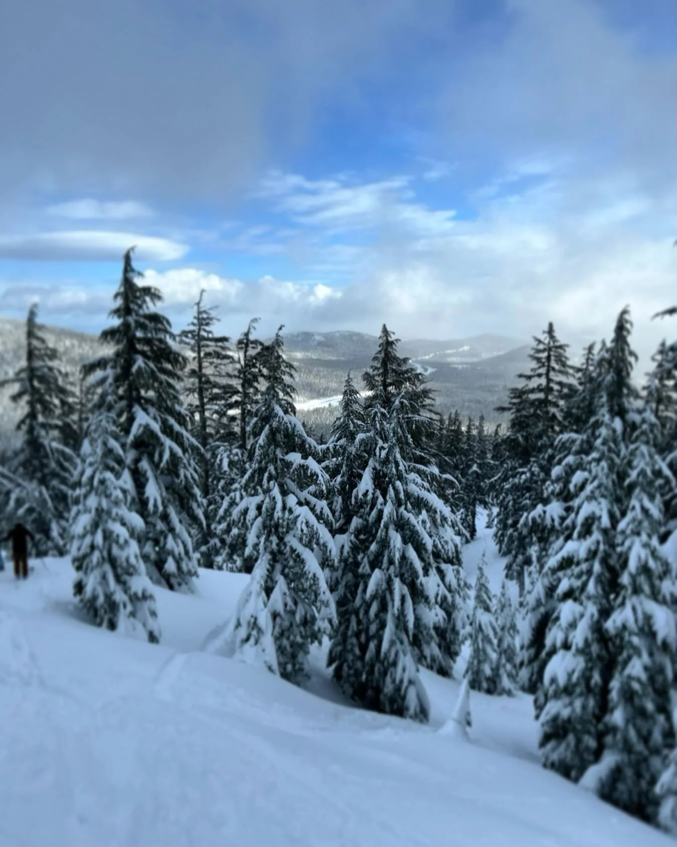 A recap, an update, and a thank you to our community: 

We started this business during the depths of the &lsquo;09 recession, with a parental loan to purchase a single iMac and produced everything from a kitchen table in a rented apartment.  Along t