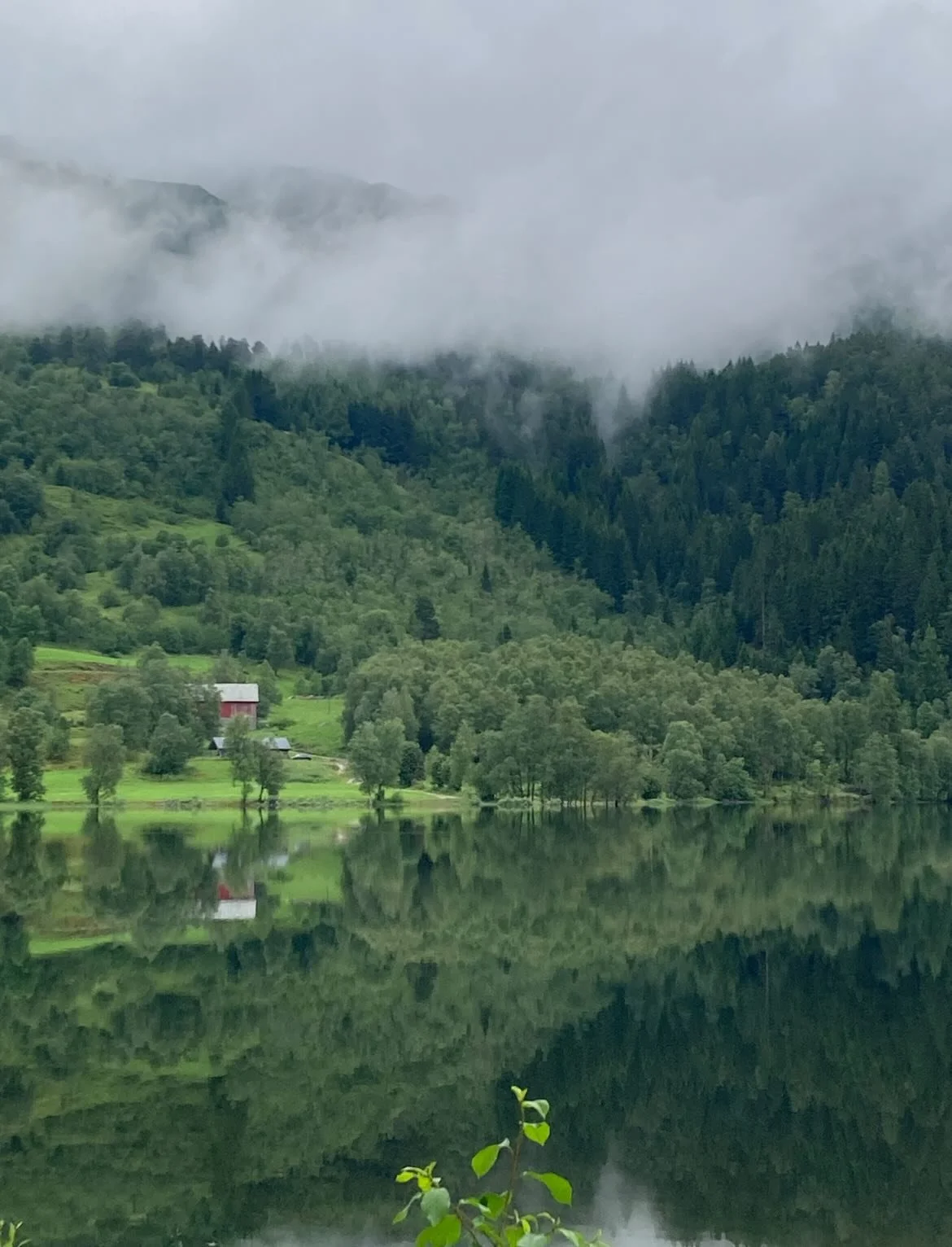 Say hi to Reid, who has been with our studio since 2017. Mostly, Reid likes to hang around the house with his family. There&rsquo;s always a construction project, somewhere between cubbies in his daughter&rsquo;s room to beds for the boys to a ladies