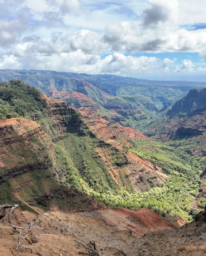 Meet Kristi, our operations manager since 2021.  Kristi has a minimum of at least three home improvement projects happening at any given moment. From March to September, she spends all of her free time gardening and her dog, Orly, may look like a flu