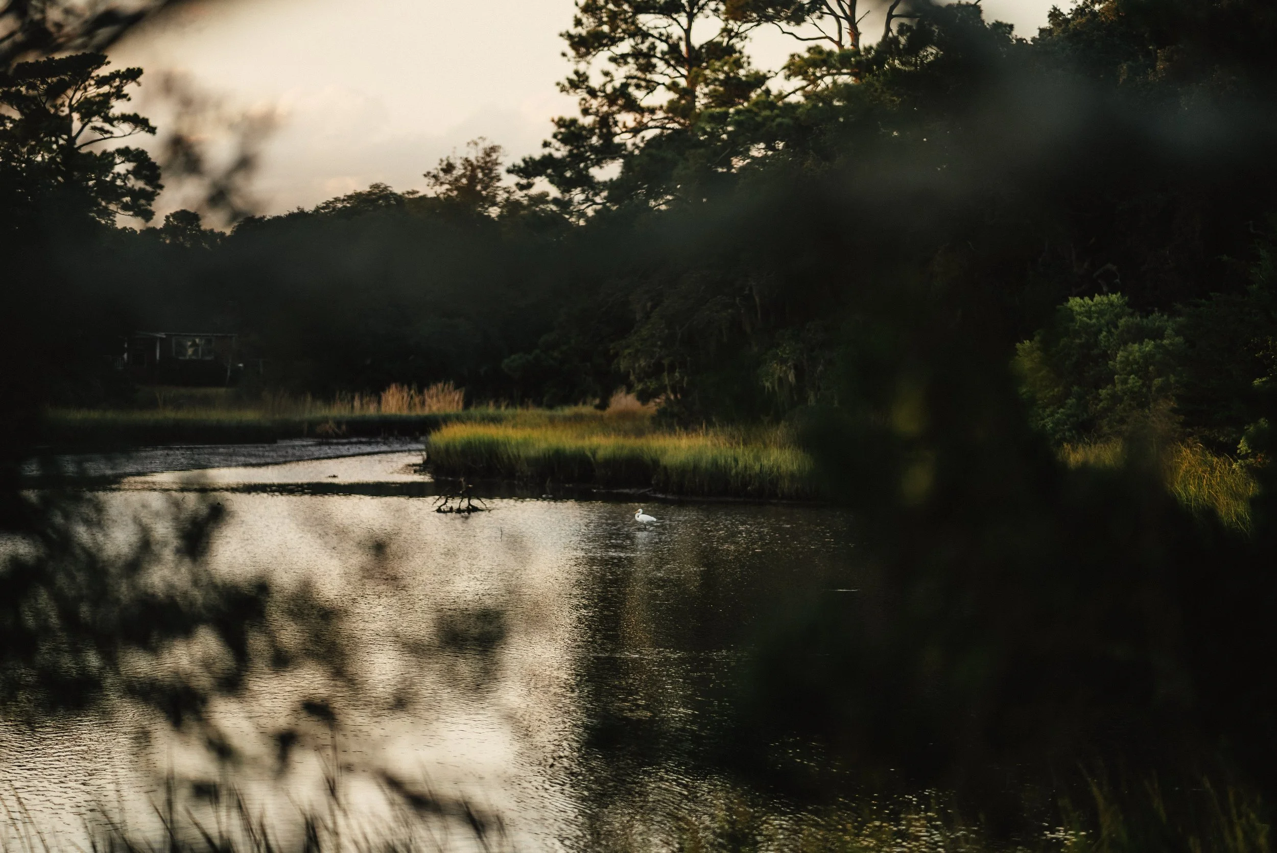 Airlie Rd Wrightsville Beach Engagement | Justin Clark Photography-01158.jpg