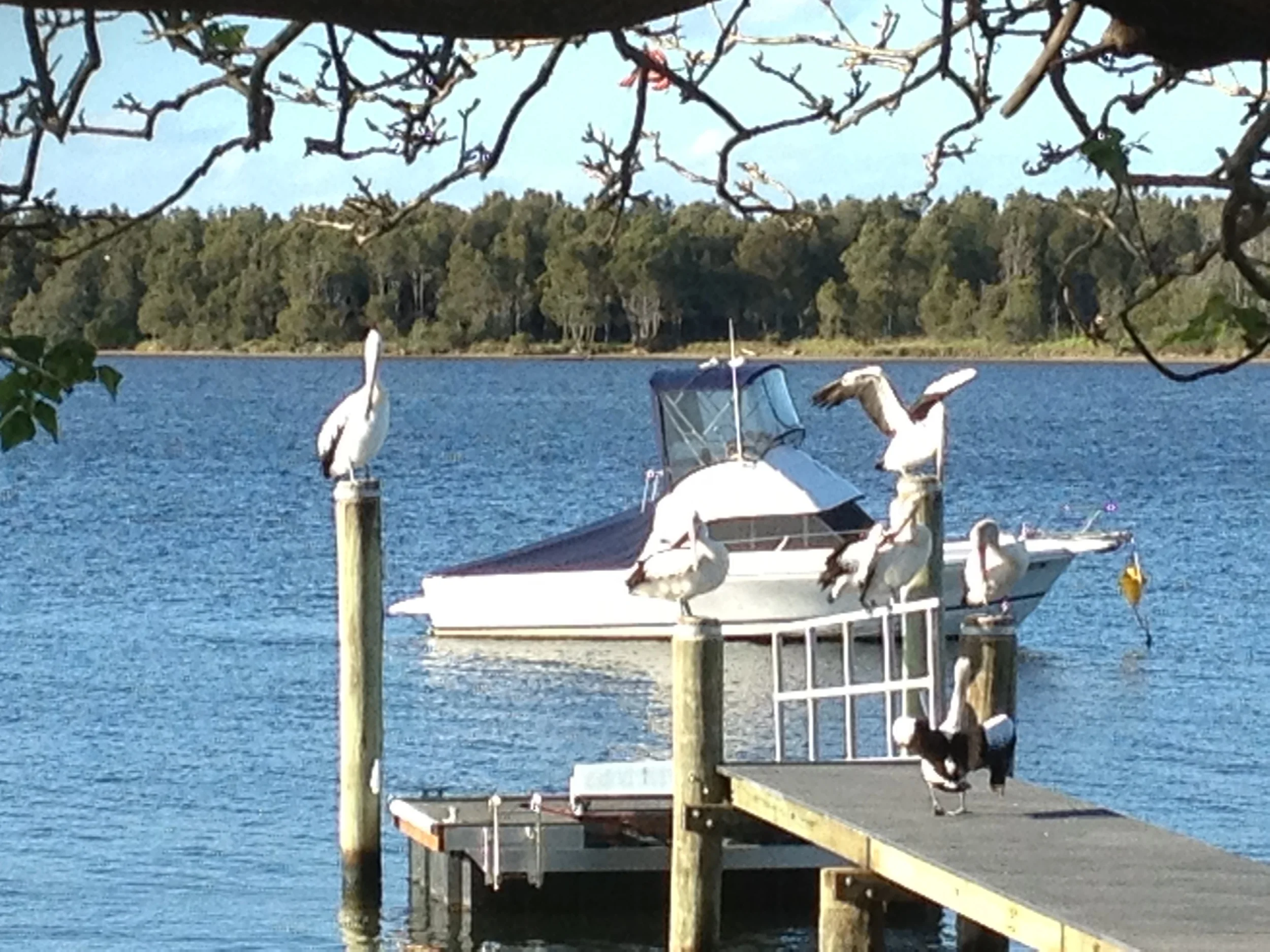View out front of our home