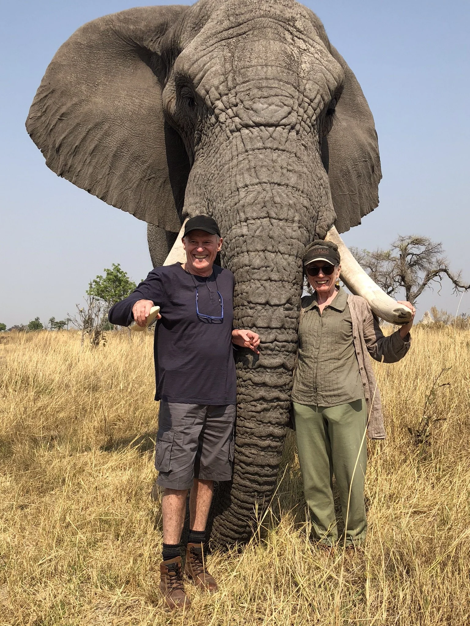Walking with the Elephants