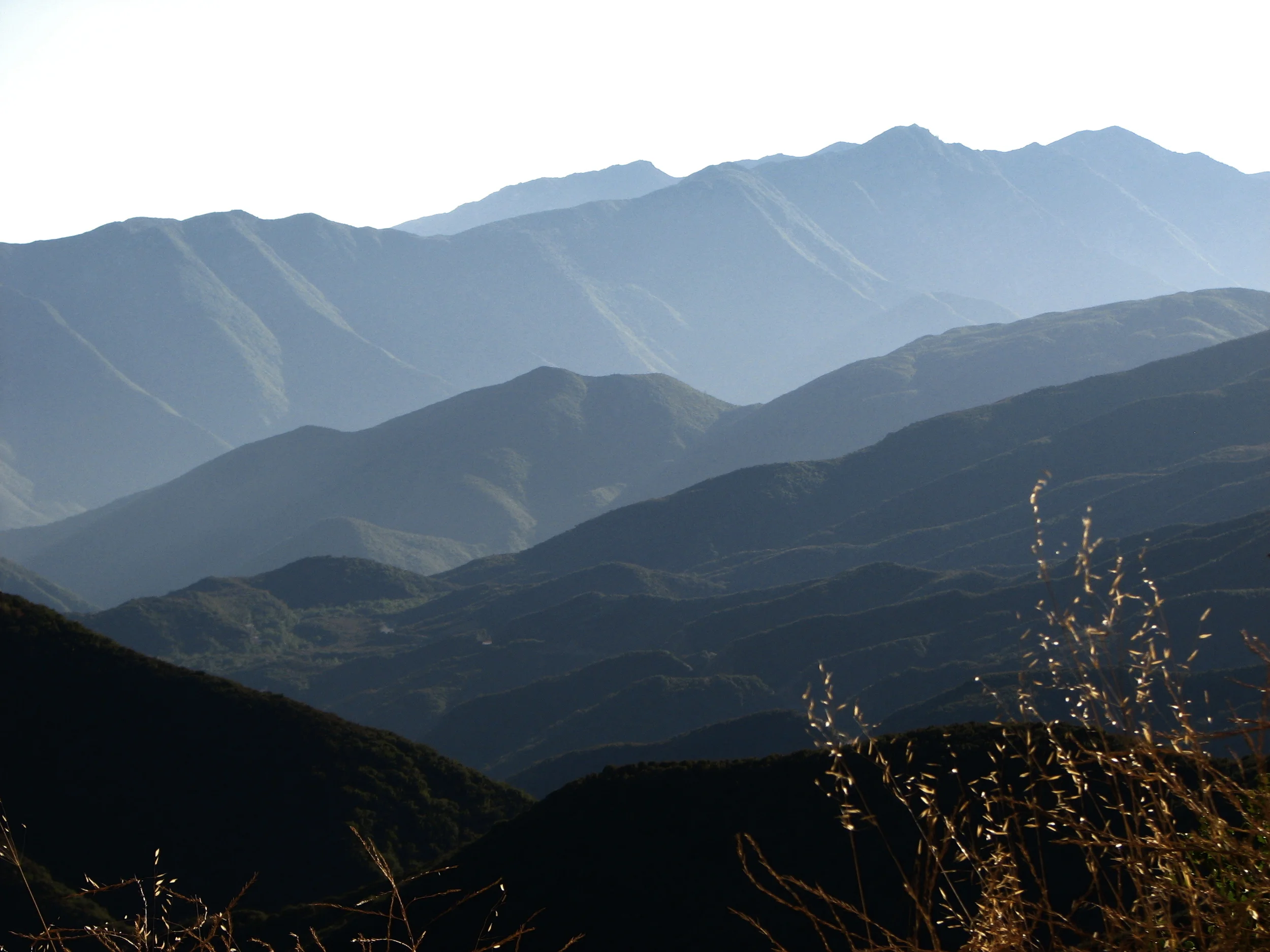 Yearlong Initiatory Immersion for Women 