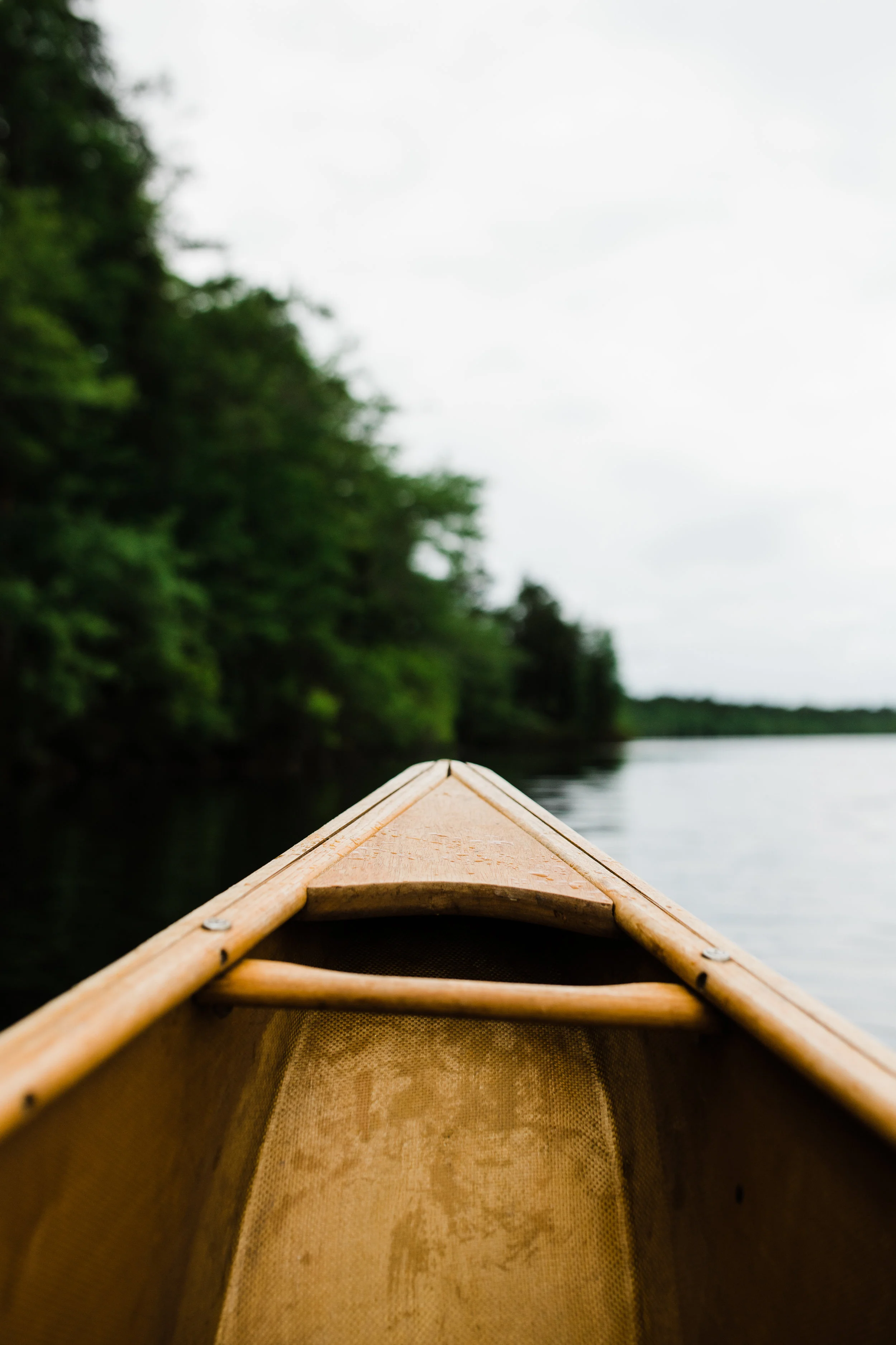 Grief Accompaniment: Deepening Our Capacity to Be With Grief
