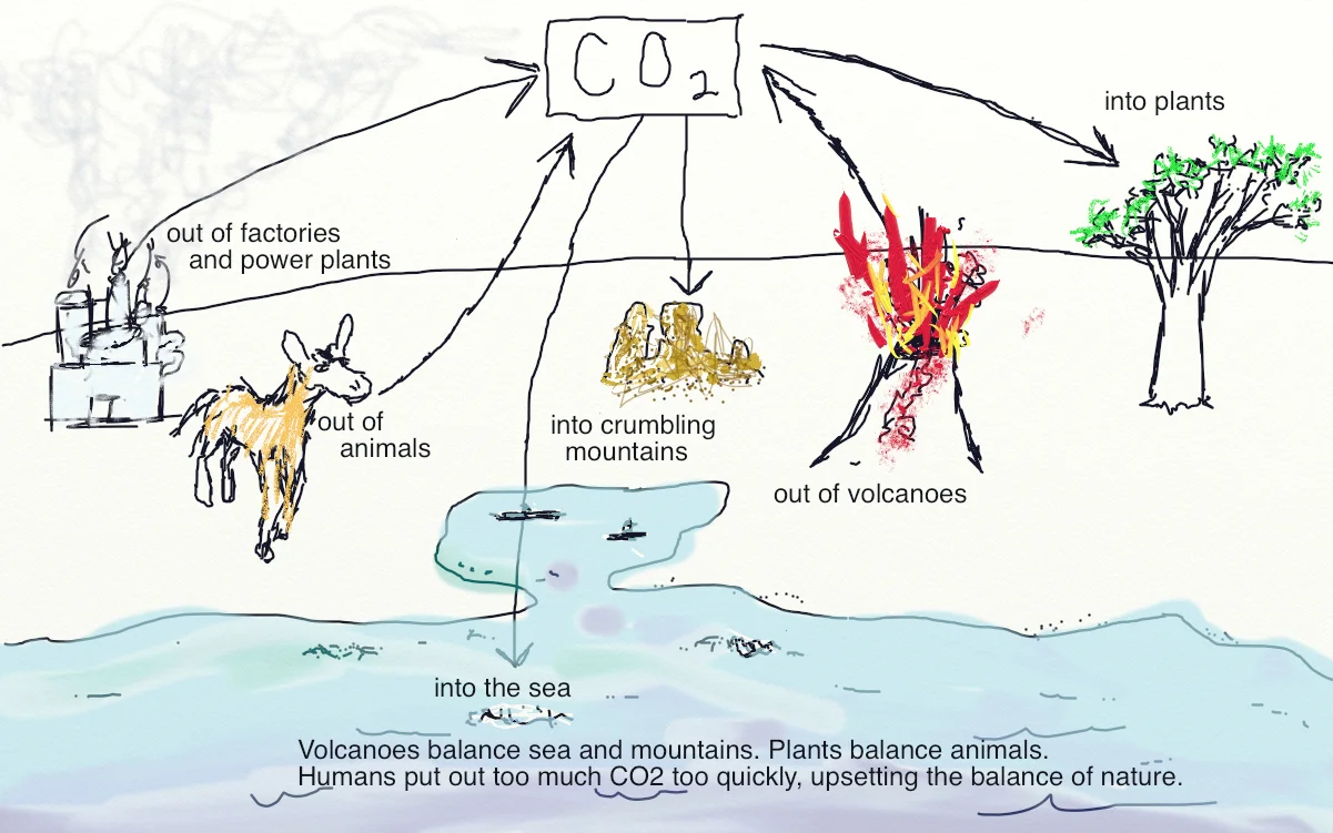 Carbon Cycle2