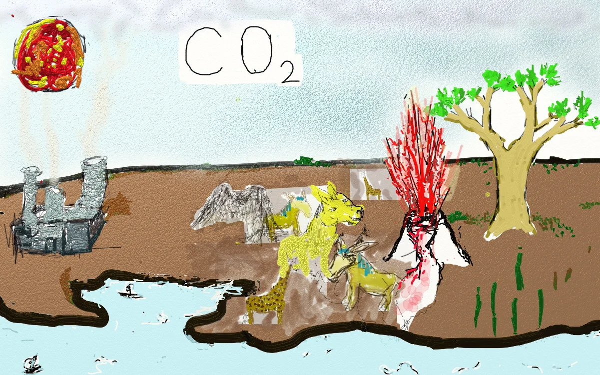 Carbon Cycle