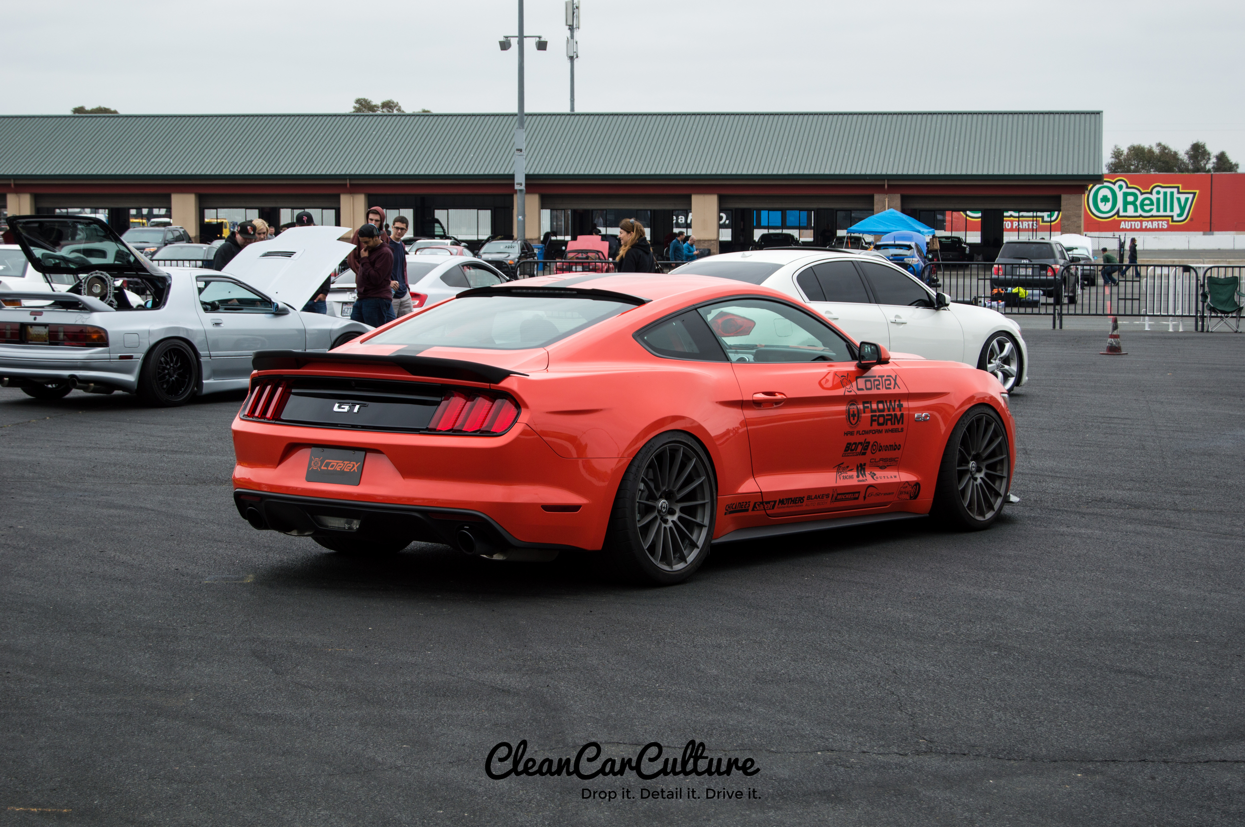 DSC_0719.jpg