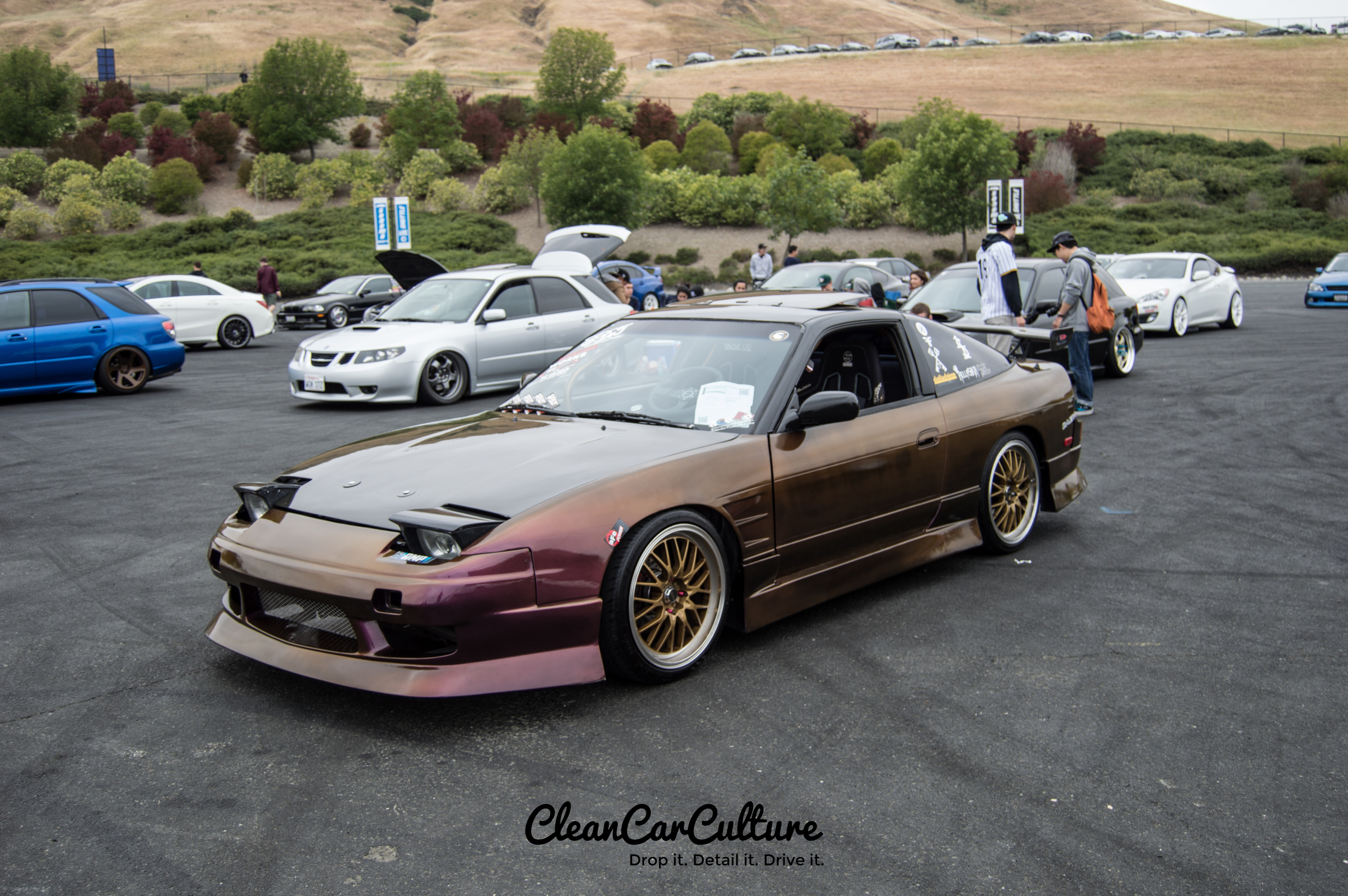 DSC_0746.jpg