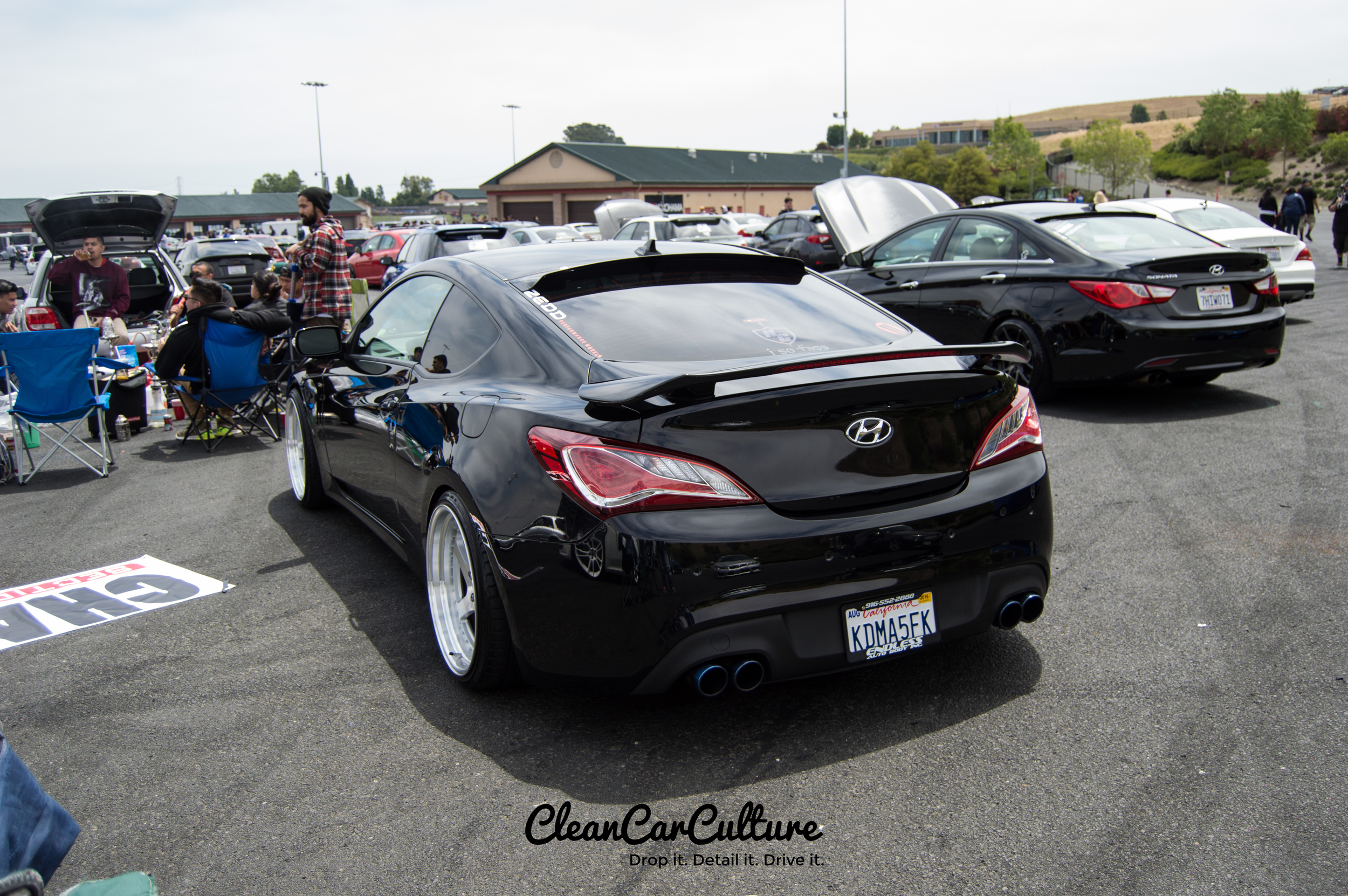 DSC_0804.jpg
