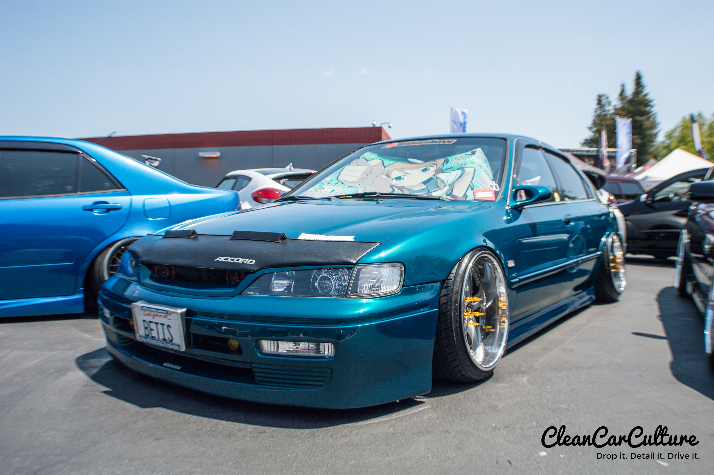 DSC_0277.jpg