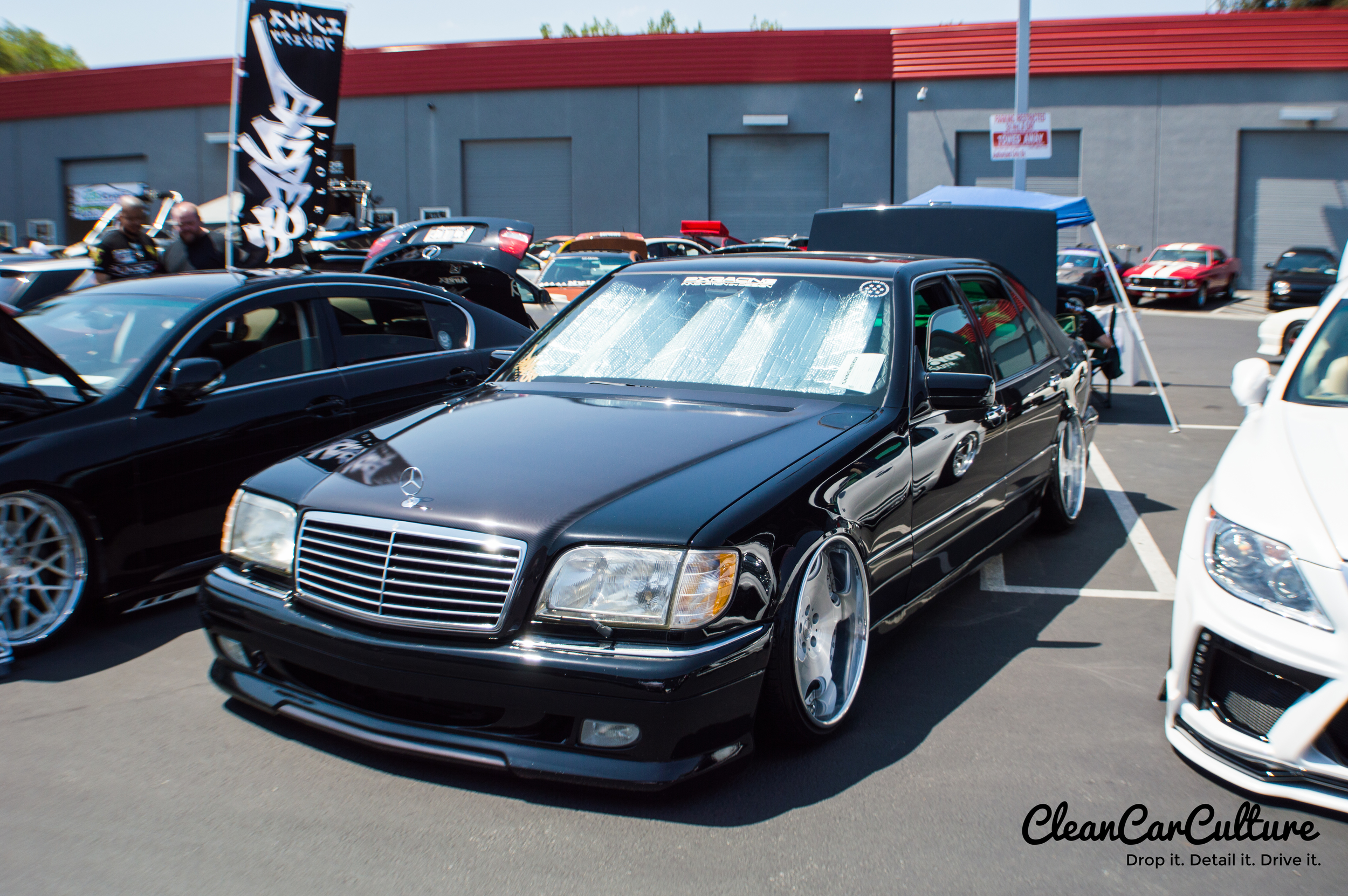 DSC_0310.jpg