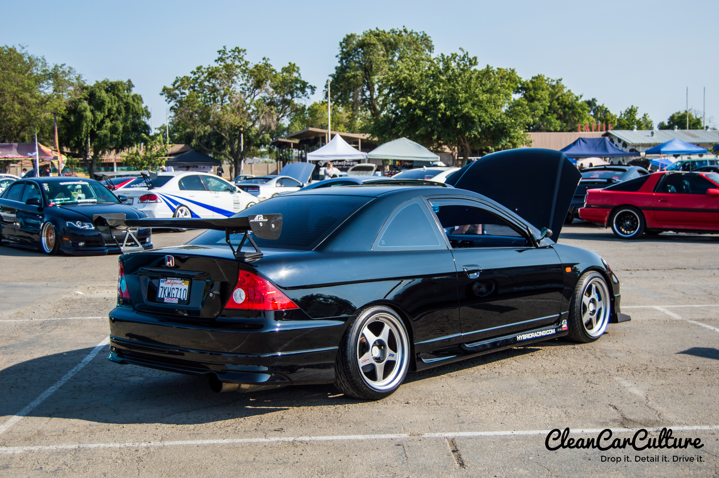 DSC_0117.jpg