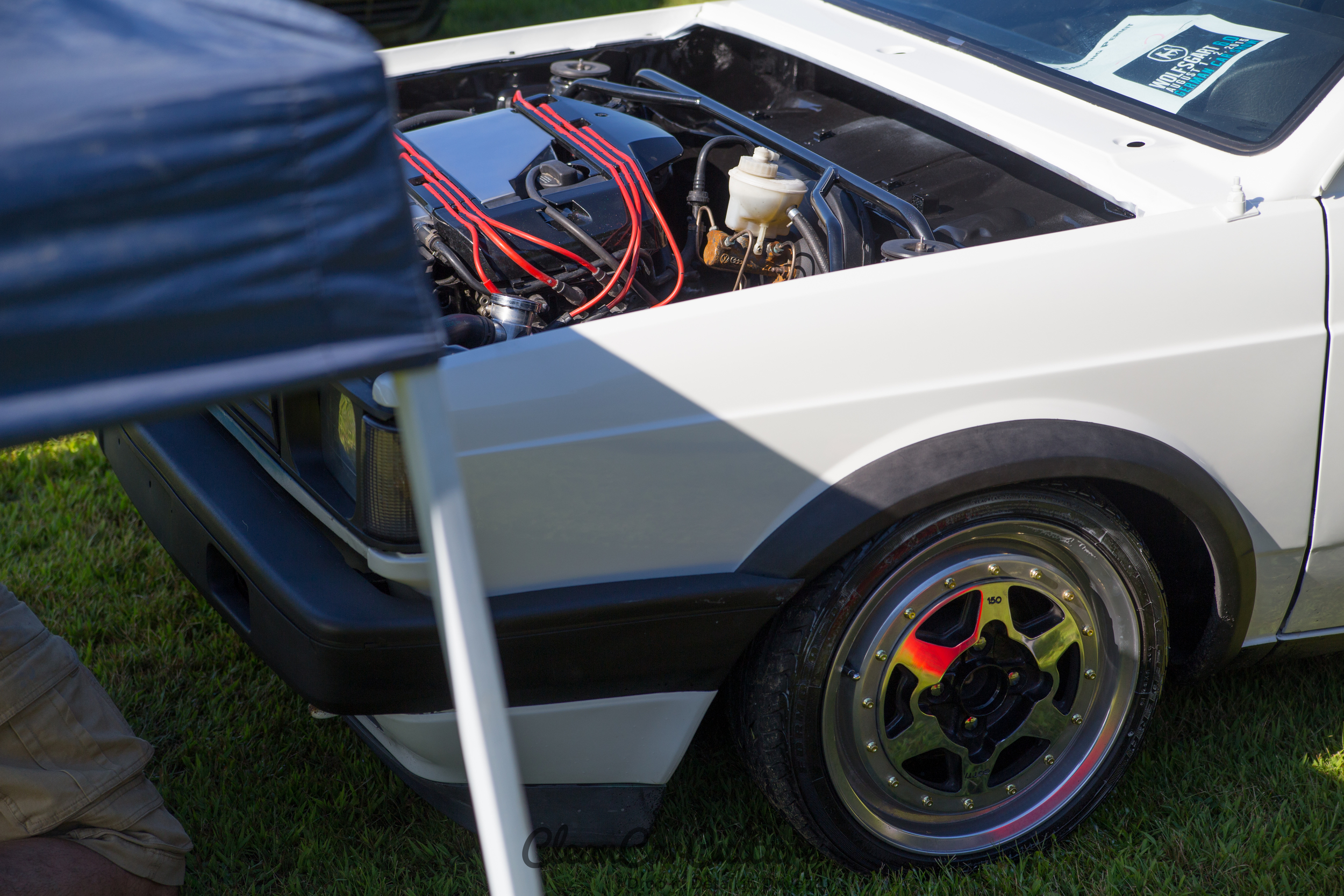 Wolfsgart6-4959.jpg
