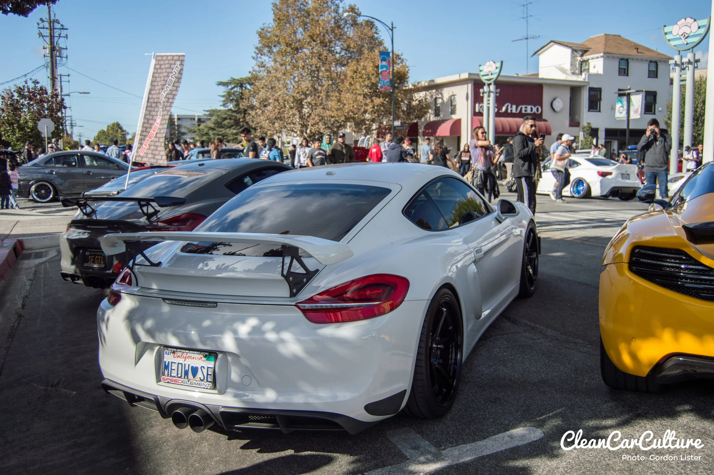 DSC_0172.jpg