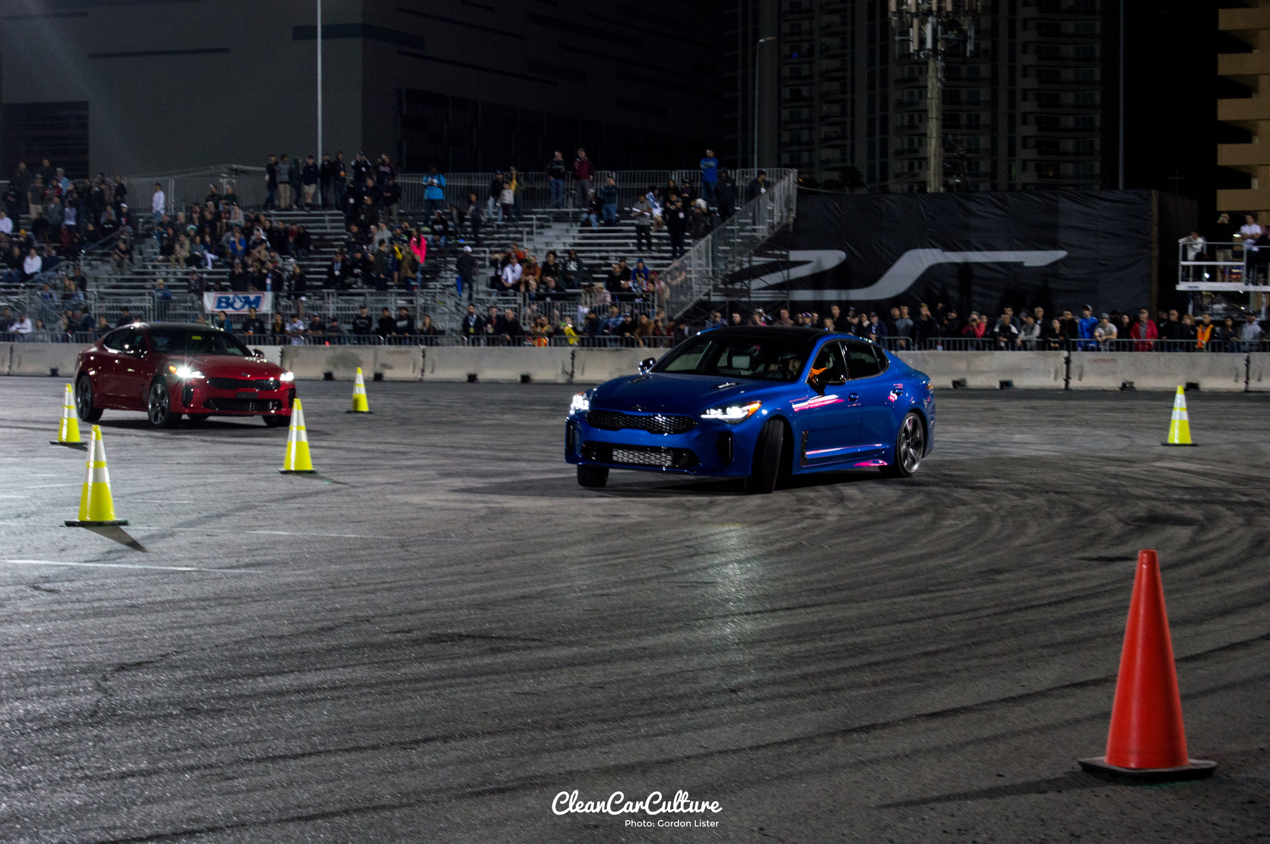 DSC_0172.jpg