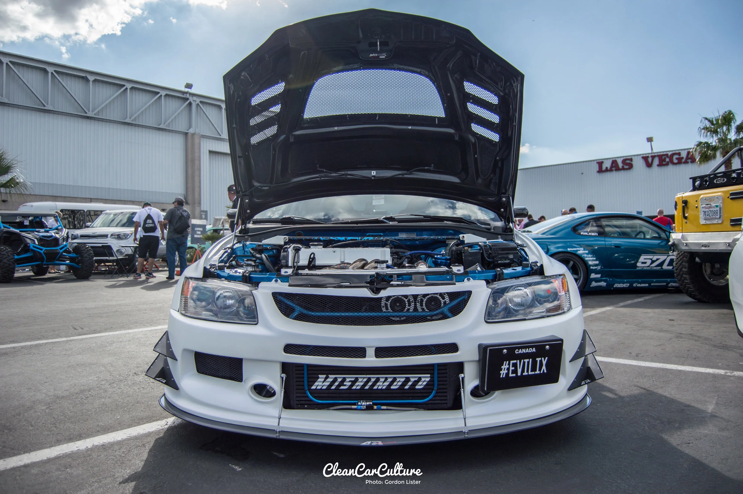 DSC_0513.jpg