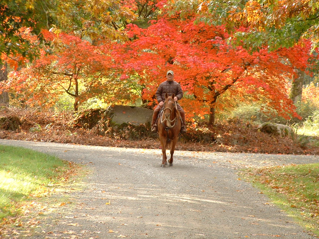 Christmas Card 124.JPG