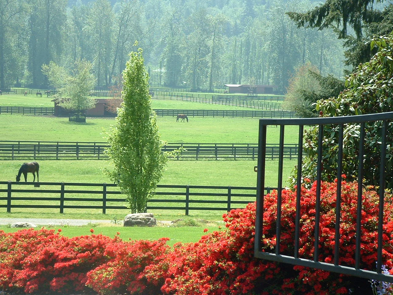 Front looking over fields.JPG