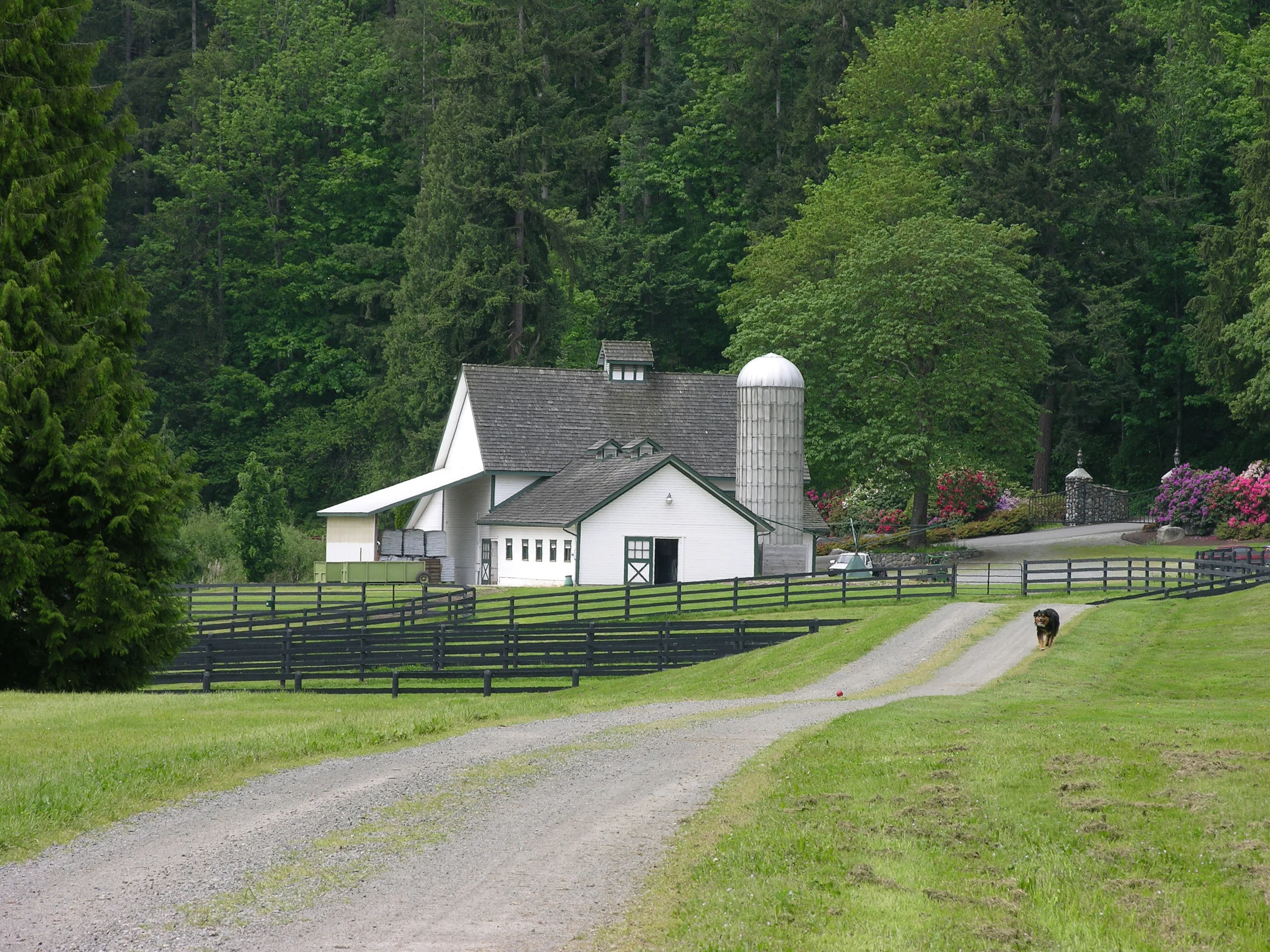 DSCN4566.jpg
