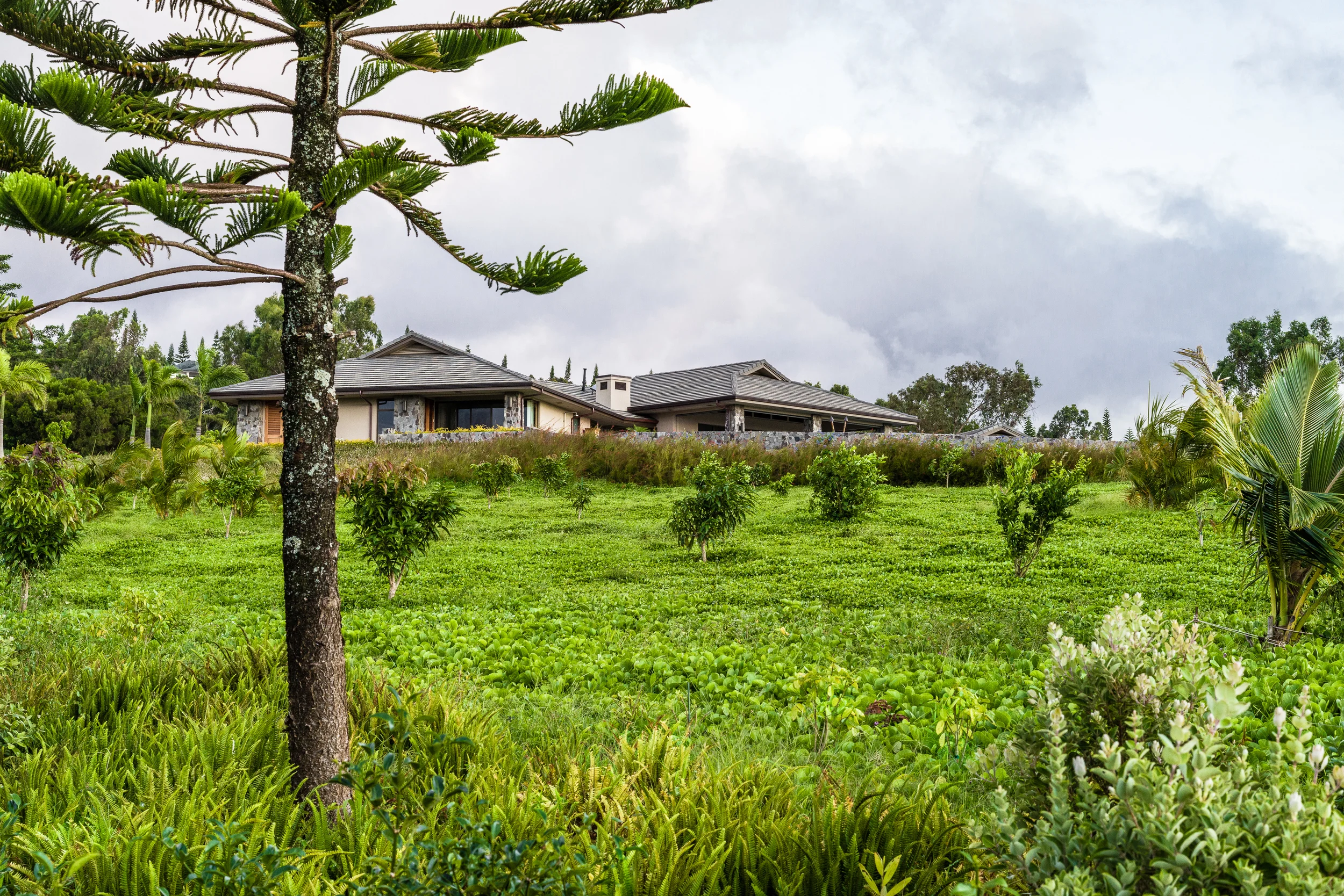 Paulson Residence-12.jpg