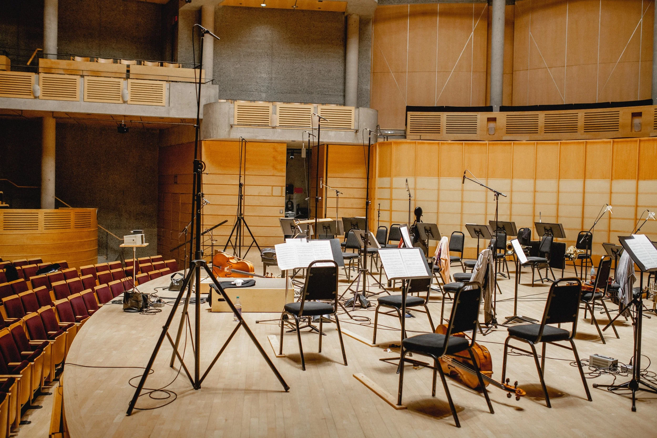 Manitoba Chamber Orchestra Chan-2.jpg