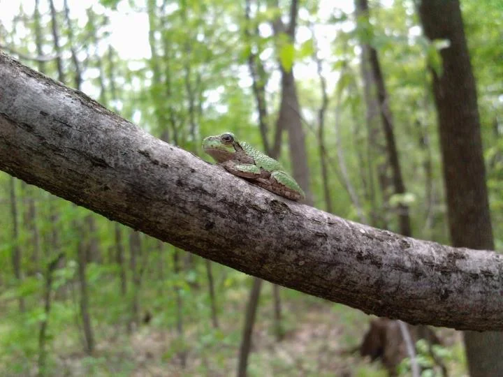 SPECIALIZED PROJECTS