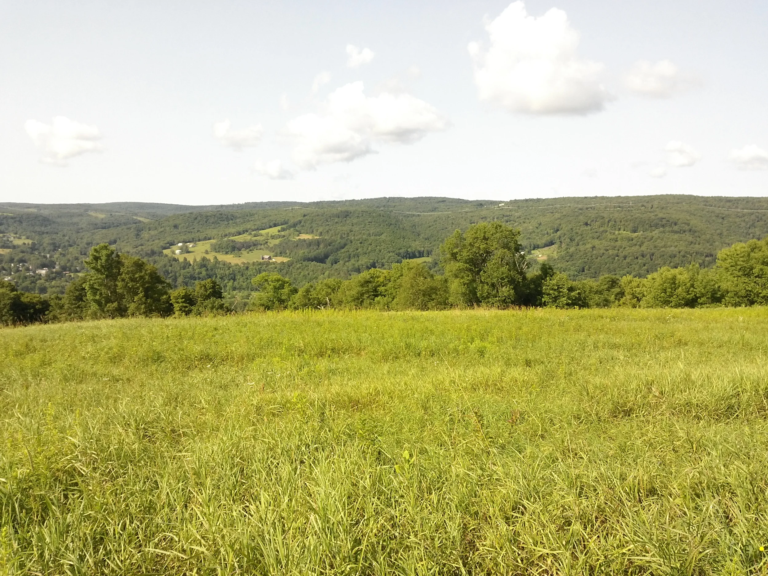 IMG_20140730_092357.jpg