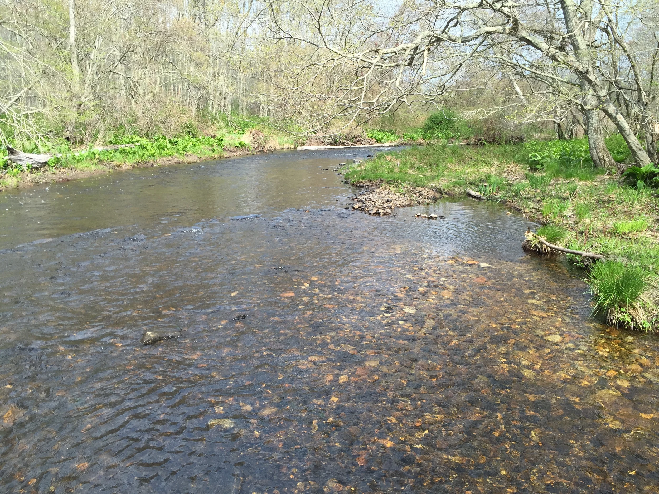 eightmile river (2).JPG