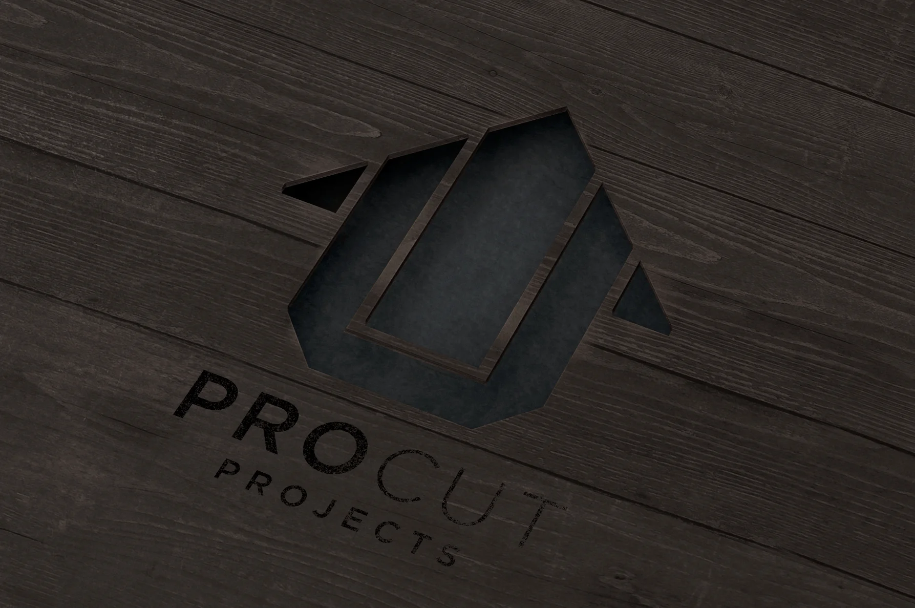 Procut_Header.Banner_V1.jpg