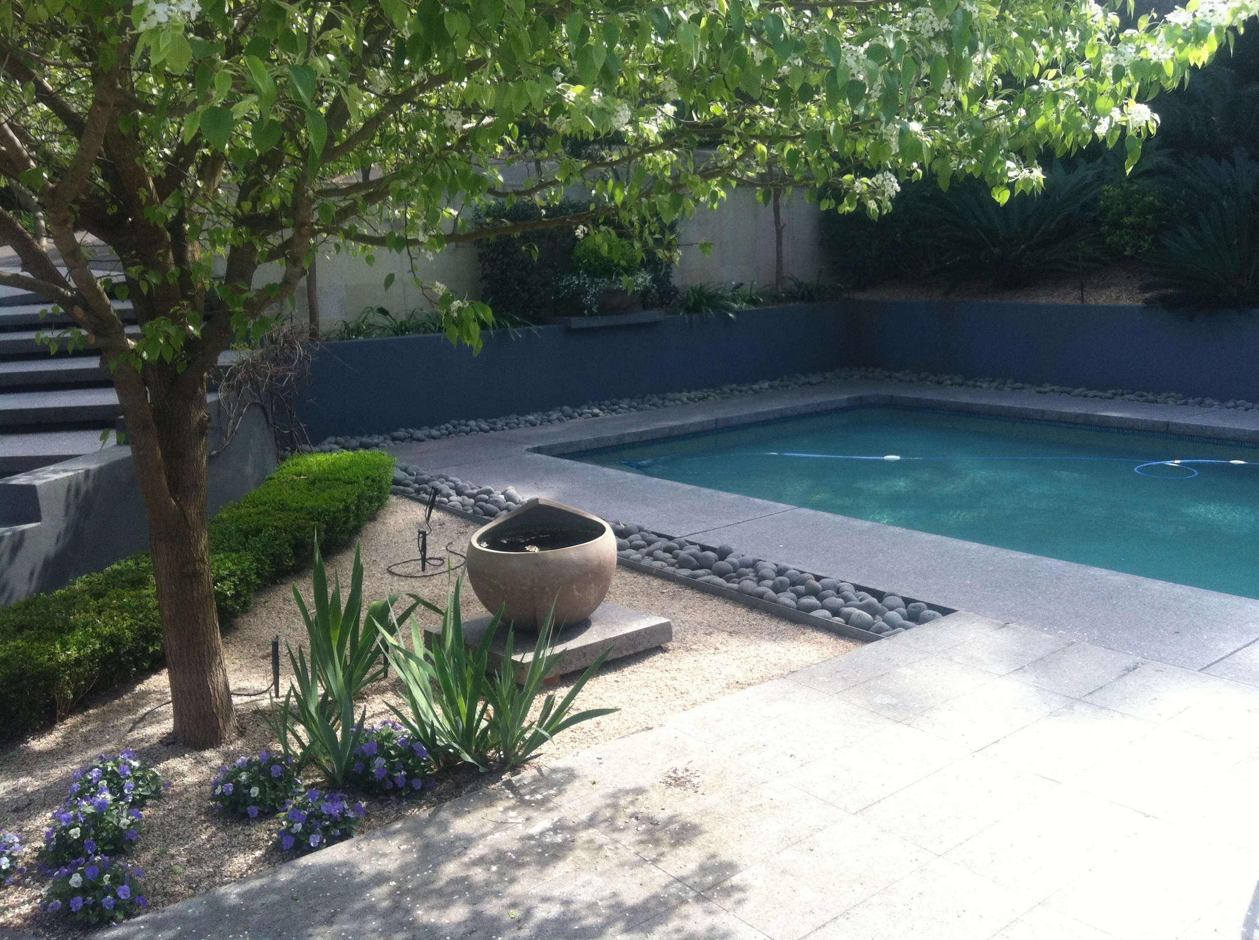 pool rendering newcastle.jpg