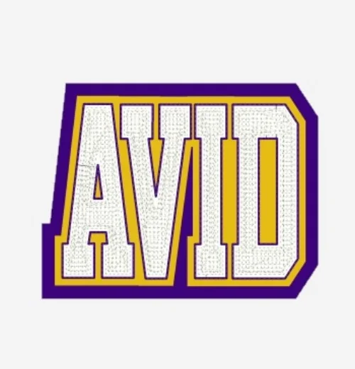 avid-2.jpg