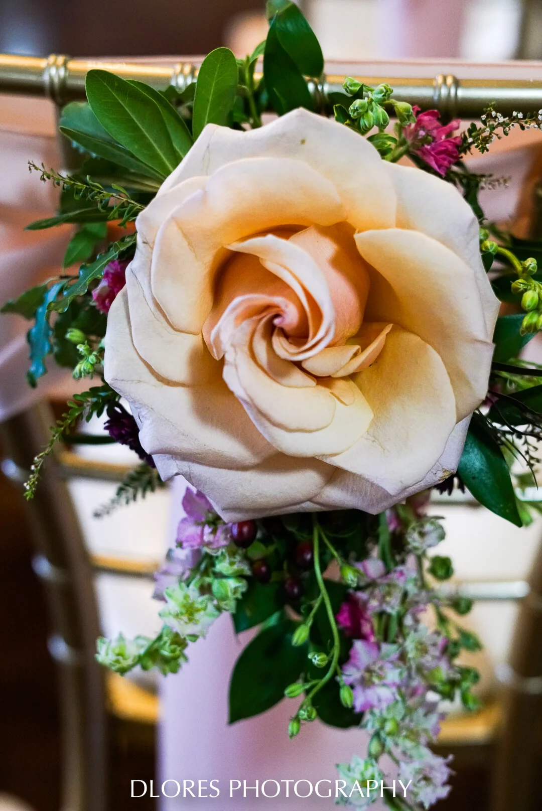 Dloresphoto-0133.jpg