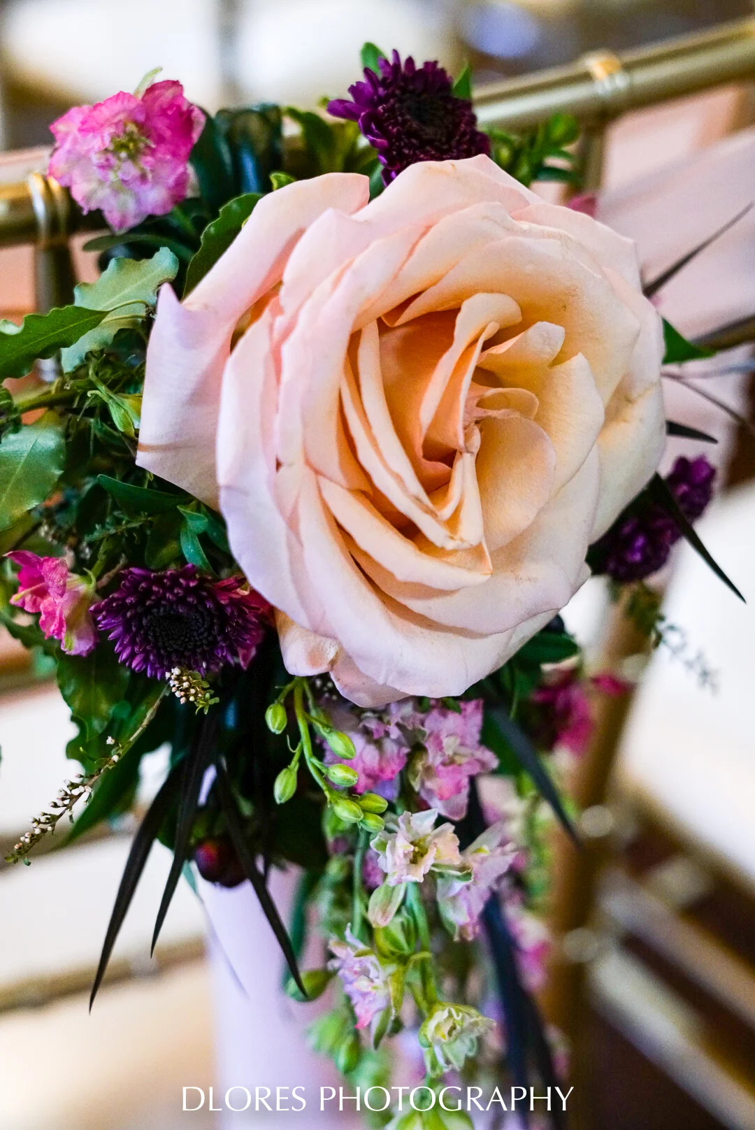 Dloresphoto-0137.jpg