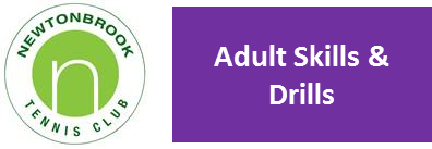 2016 Adult Skills and Drills Lessons.png