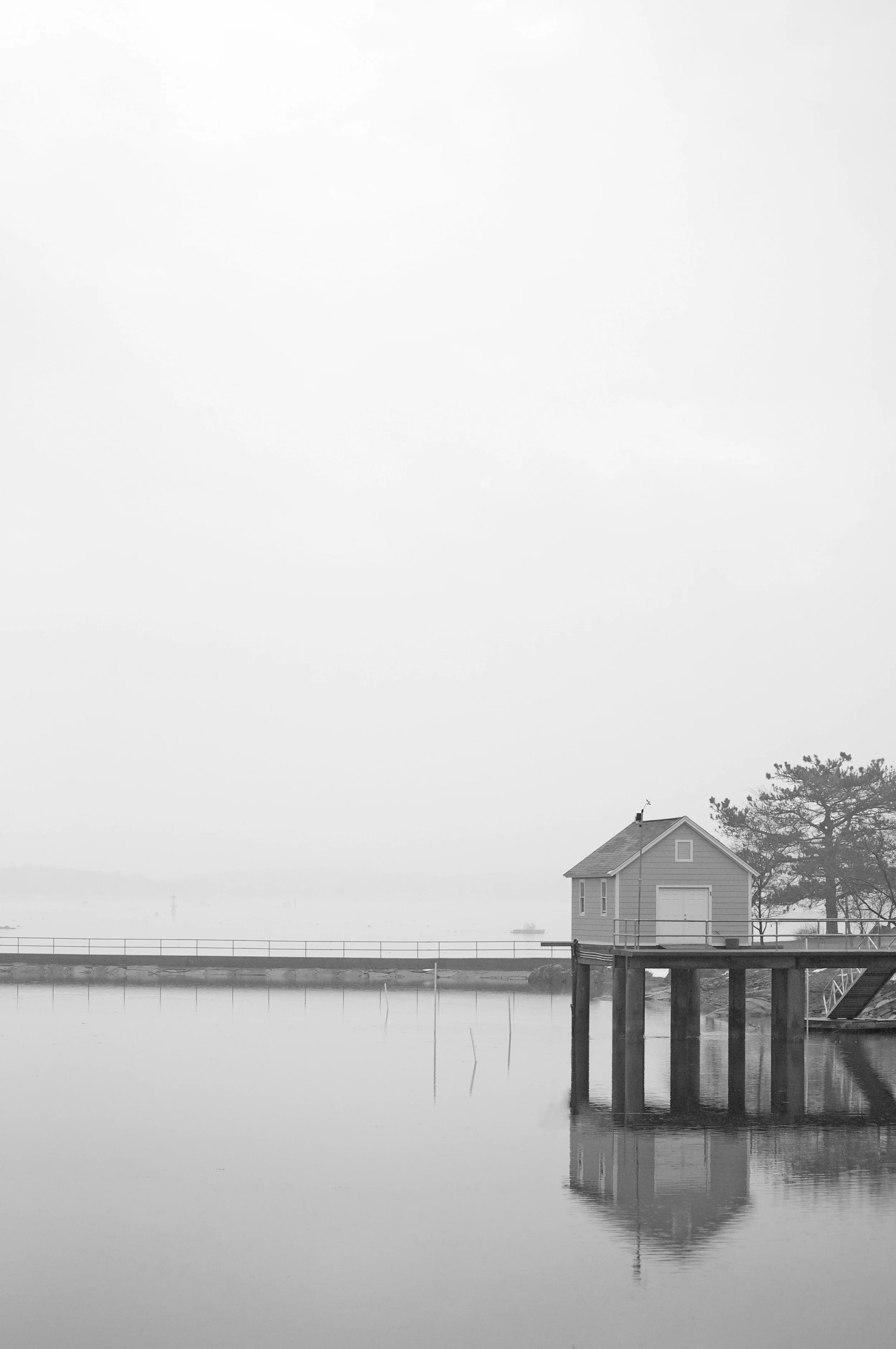 January Thaw #1.jpg