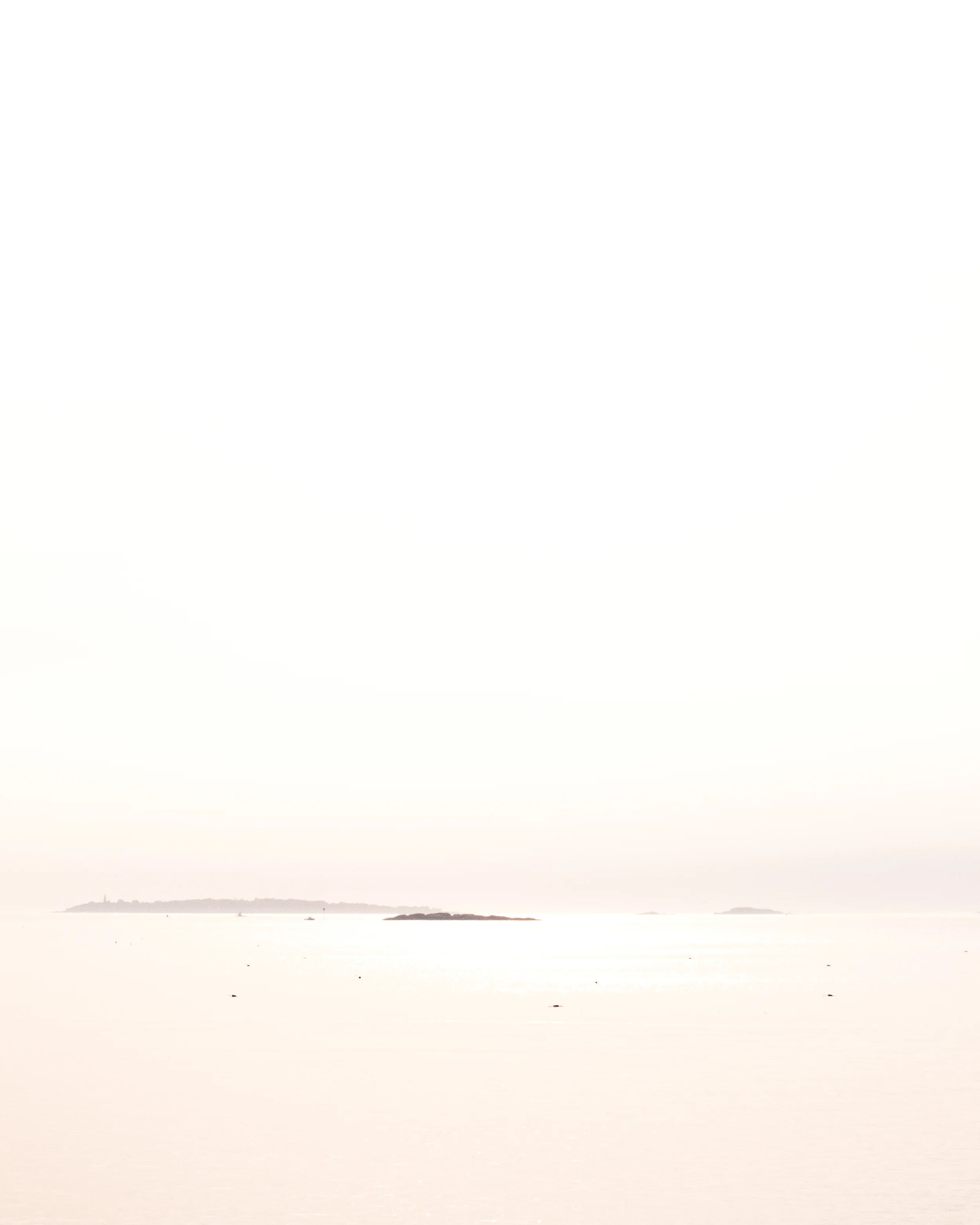 DSC_0023 5.jpg