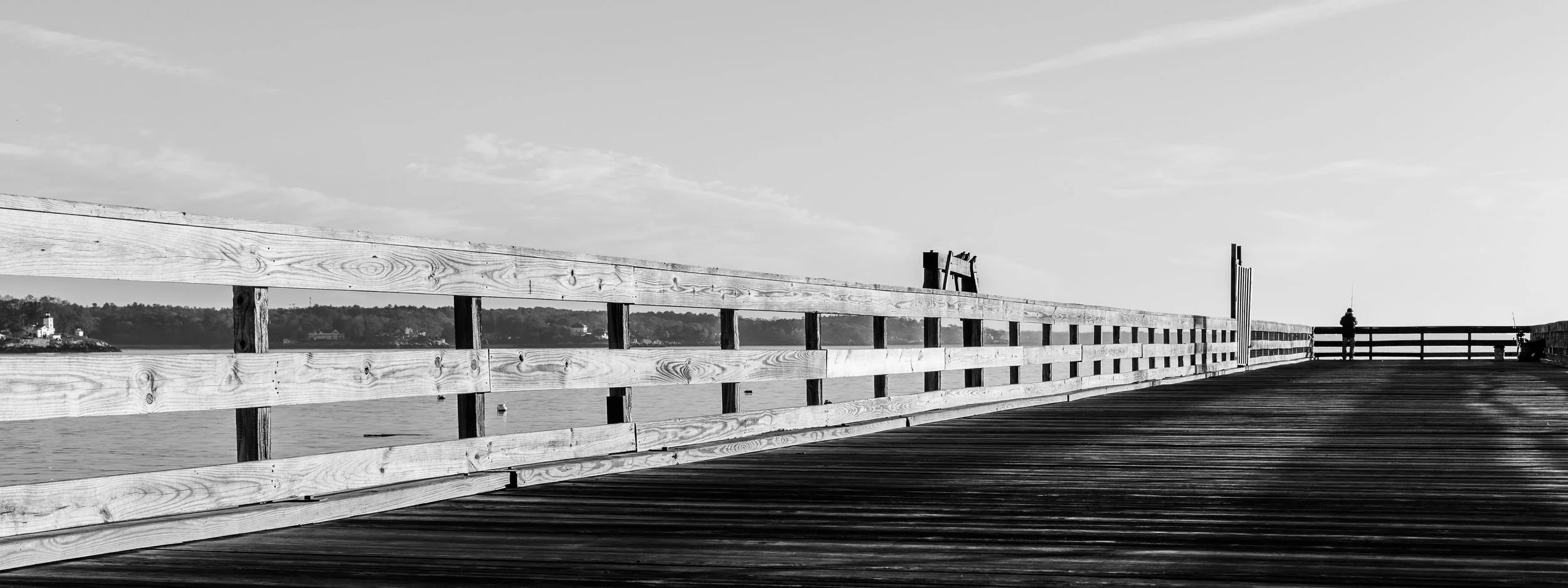 _MG_3593.jpg