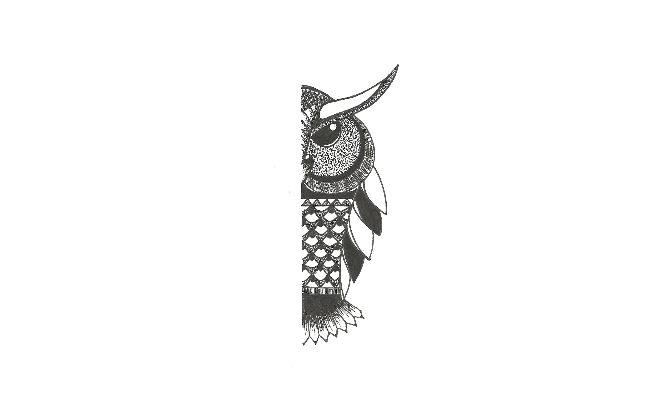 Owl.